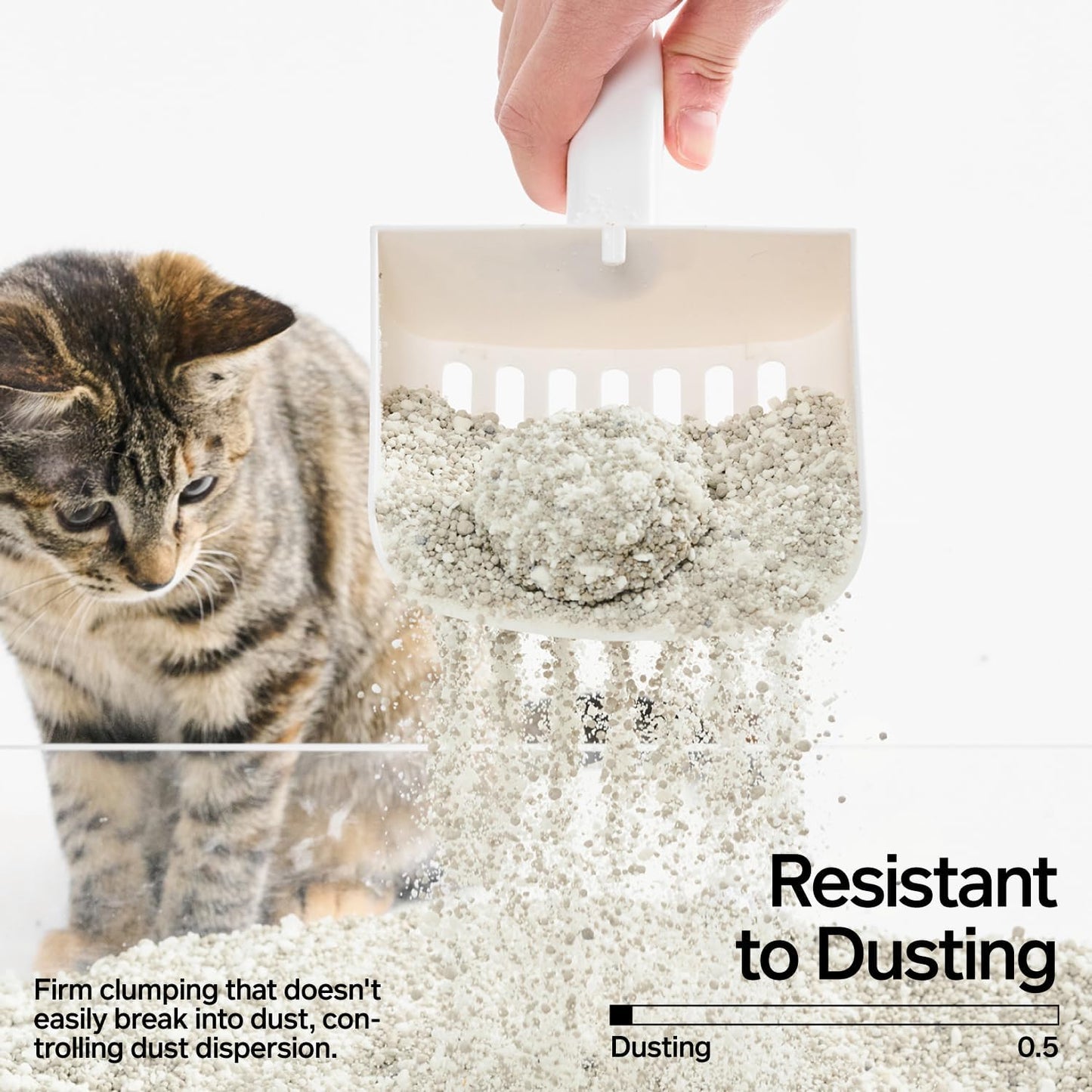 pidan Cassava Cat Litter with Bentonite Litter,clumping,Odor Control,Natural Ingredients, Low Dust,Unscented,Ultra Absorbent and Fast Drying(5.3lb×4bags)