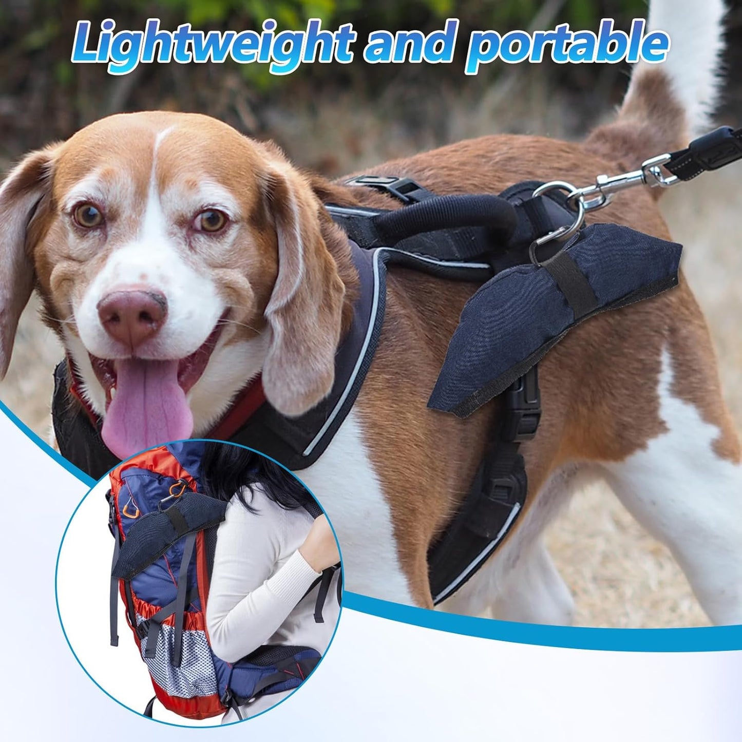 2 Pcs Foldable Portable Dog Bowls for Travel, 40 oz Water and Food Bowl for Dog, Puppy Waterproof Wear-Resistant Oxford Cloth