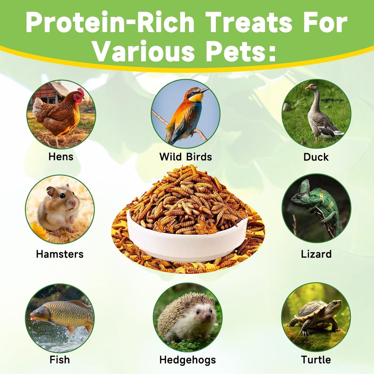 5LB Dried Black Soldier Fly Larvae Treat for Chicken, 100% Natural Non-GMO More Calcium Than Dried Mealworms High Protein Chicken Feed for Birds, Ducks, Layer Hens