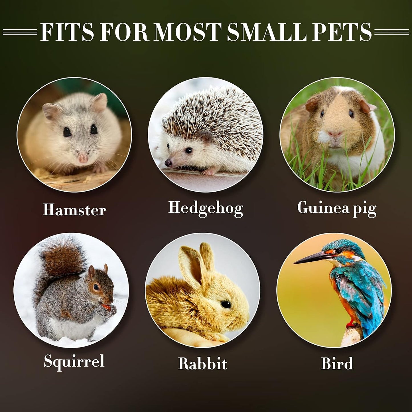 Weewooday 4 Pieces Automatic Bird Feeder Cage Water Dispenser Bird Water Feeder Hamster Cage Waterer Accessory Drinker Bottle for Hamster Parrot(Classic Style,Blue, White,200 ml)