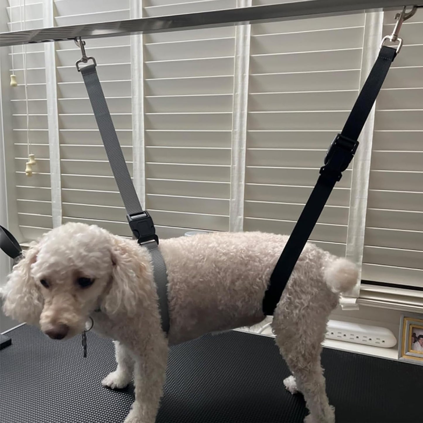 Dog Grooming Loops Nylon Restraint Noose Loop Pet Grooming Belly Strap Adjustable Slip Rope Dog Bathing Safety Tether Straps for Pet Grooming Table (Pink)