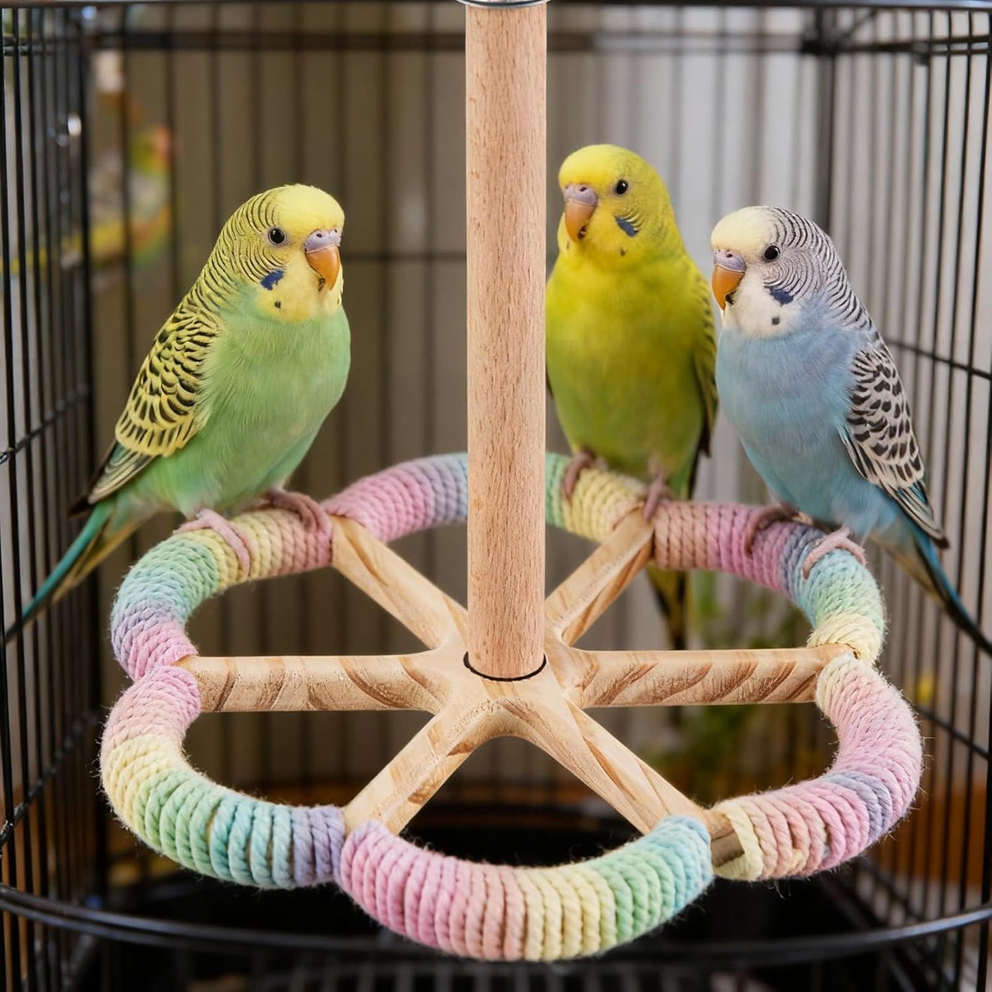 Bird Perch Toy, Interactive Spinning Parakeet Parrot Toys with Chew Toy,360° Silent Free-Spin,for Parrots, Parakeets, Cockatiels, Small to Medium Birds, with Poplar Swing (Round)