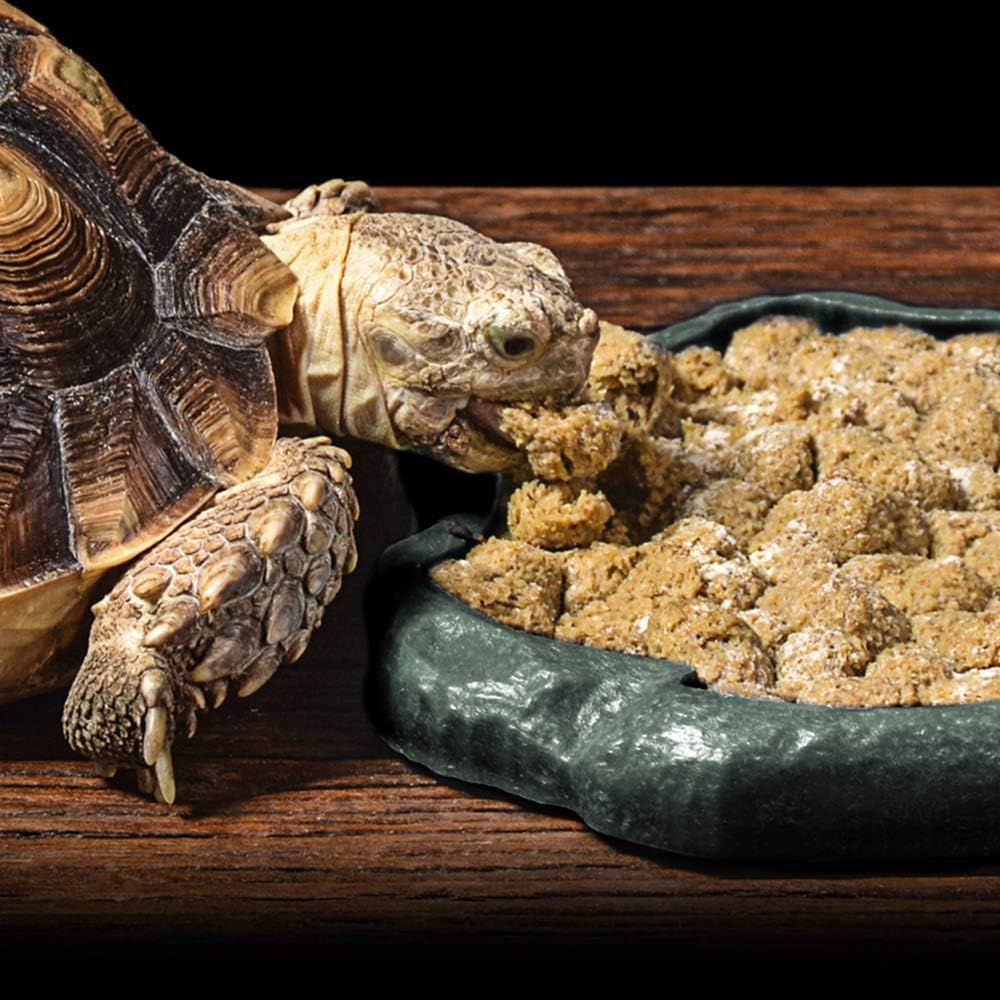 SLSON Small Reptile Feeder Terraium Bowl Plastic Shallow Reptile Feeder for Food and Water Feeding Dish for Lizard Gecko Junior Bearded Dragon,Small Green