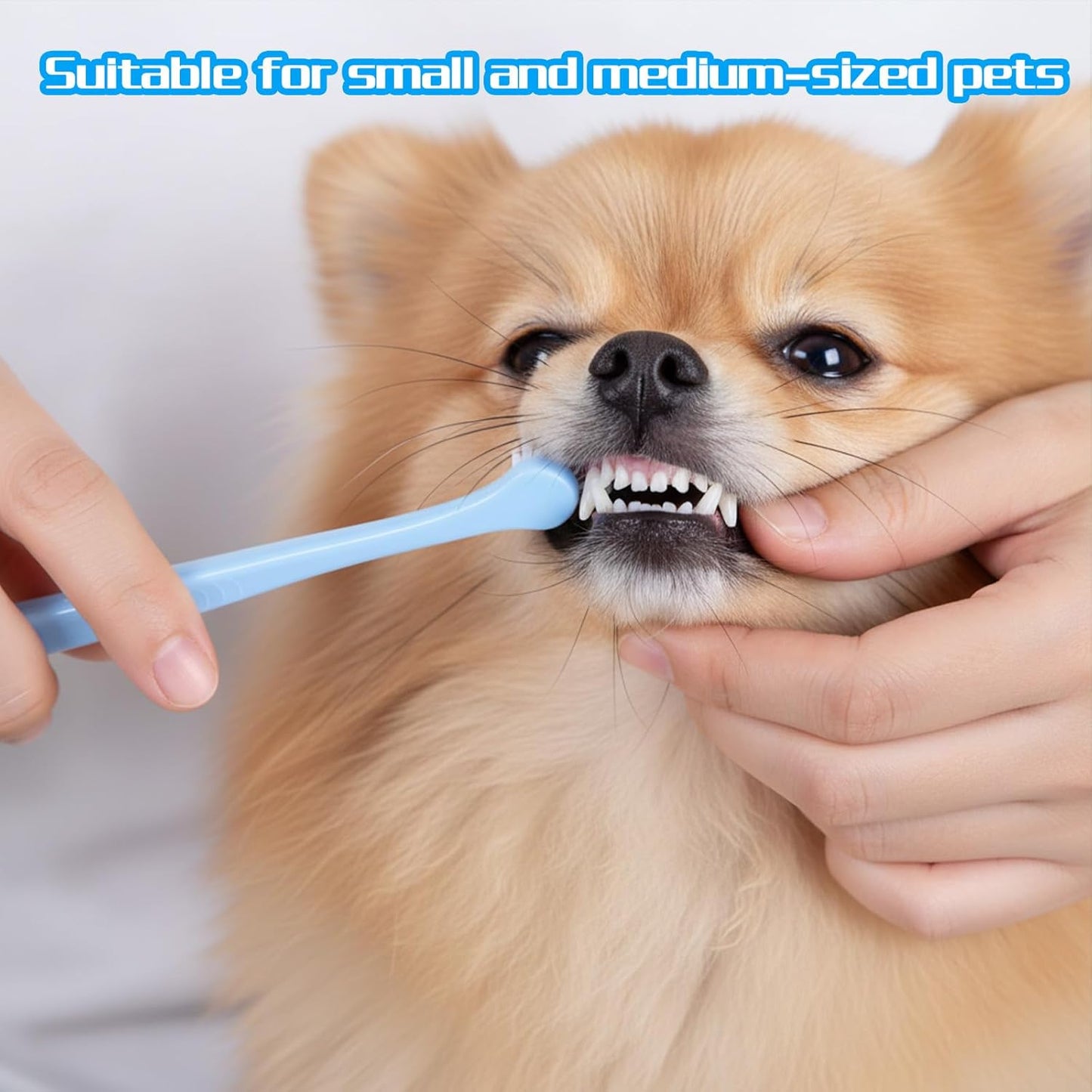 6Pcs 360-Degree Small Dog and Cat Soft Toothbrush Cat Dental Care Dog Toothbrush Soft Silicone Pet Toothbrushes for Puppy, Small Dogs and Cats Set of 3 Different Shapes