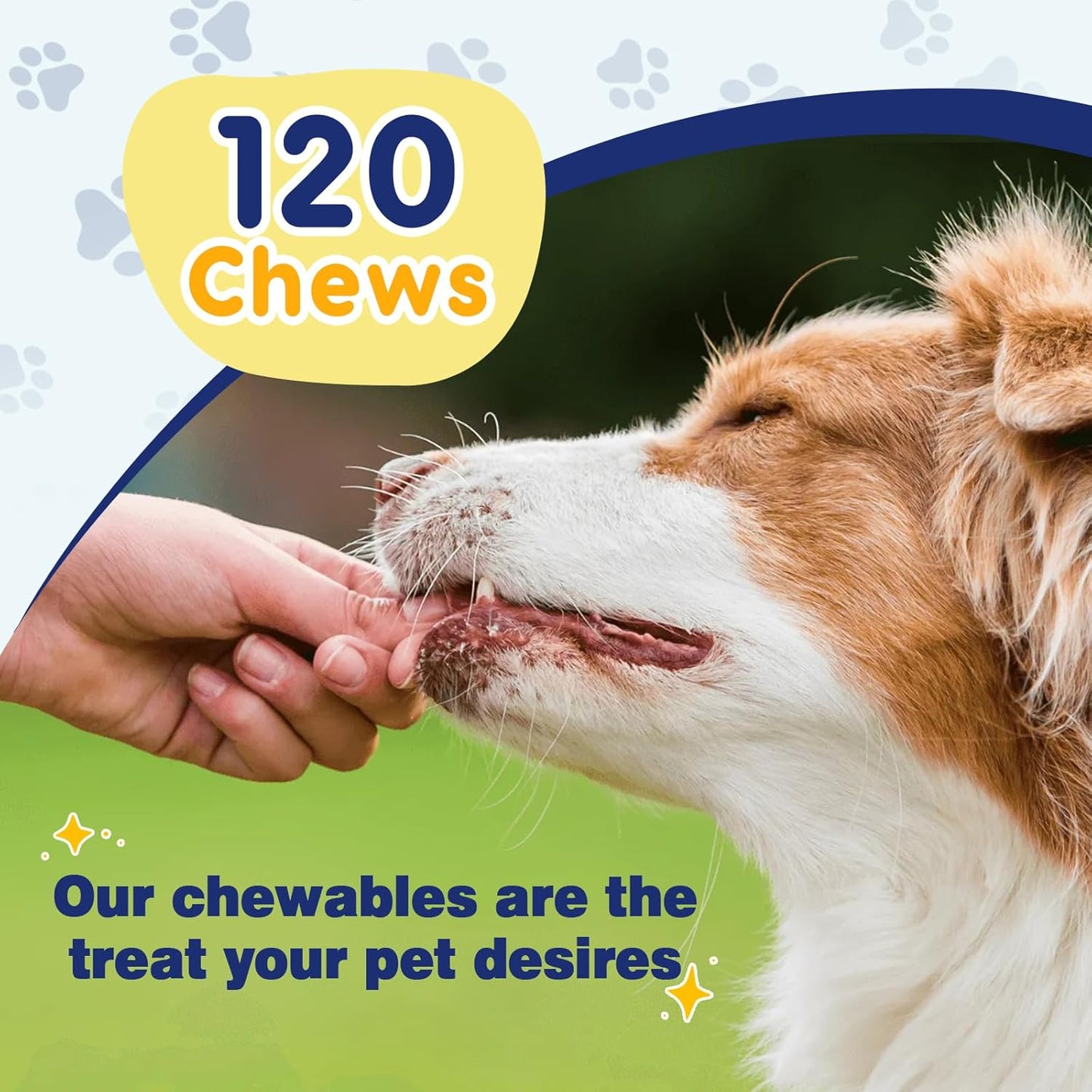 Omega 3 for Dogs with Salmon Oil, Fish Oil for Dogs Skin and Coat Supplement, Dog Allergy Relief, Hot Spot Treatment, Anti Shedding, Hip & Joint Support with EPA & DHA, Biotin, Vitamin E