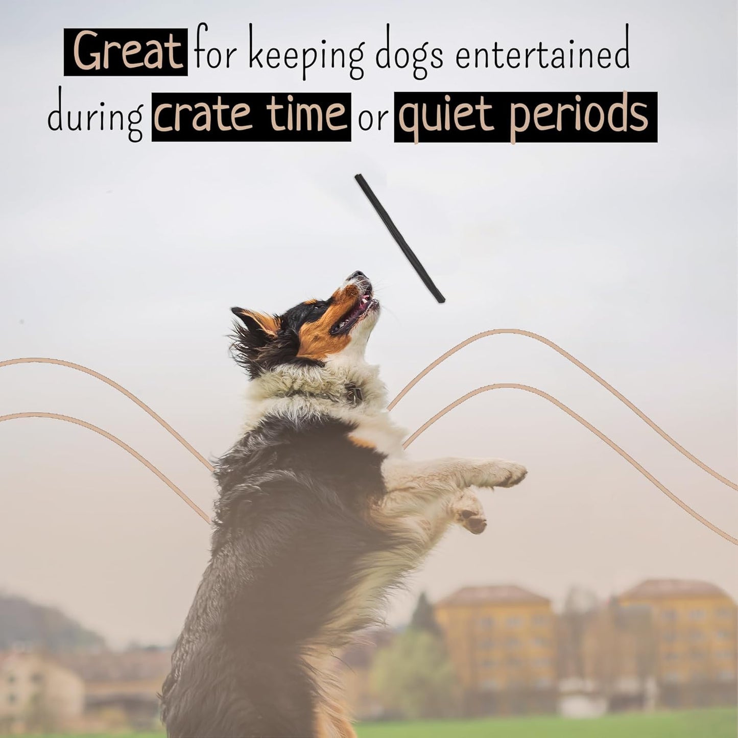 Collagen Sticks - 12 Inch Beef Collagen Sticks for Dogs - Collagen Chews for Dogs - Long Lasting Collagen Sticks for Small Dogs - Supports Healthy Joints, Skin & Coat - Pack of 10