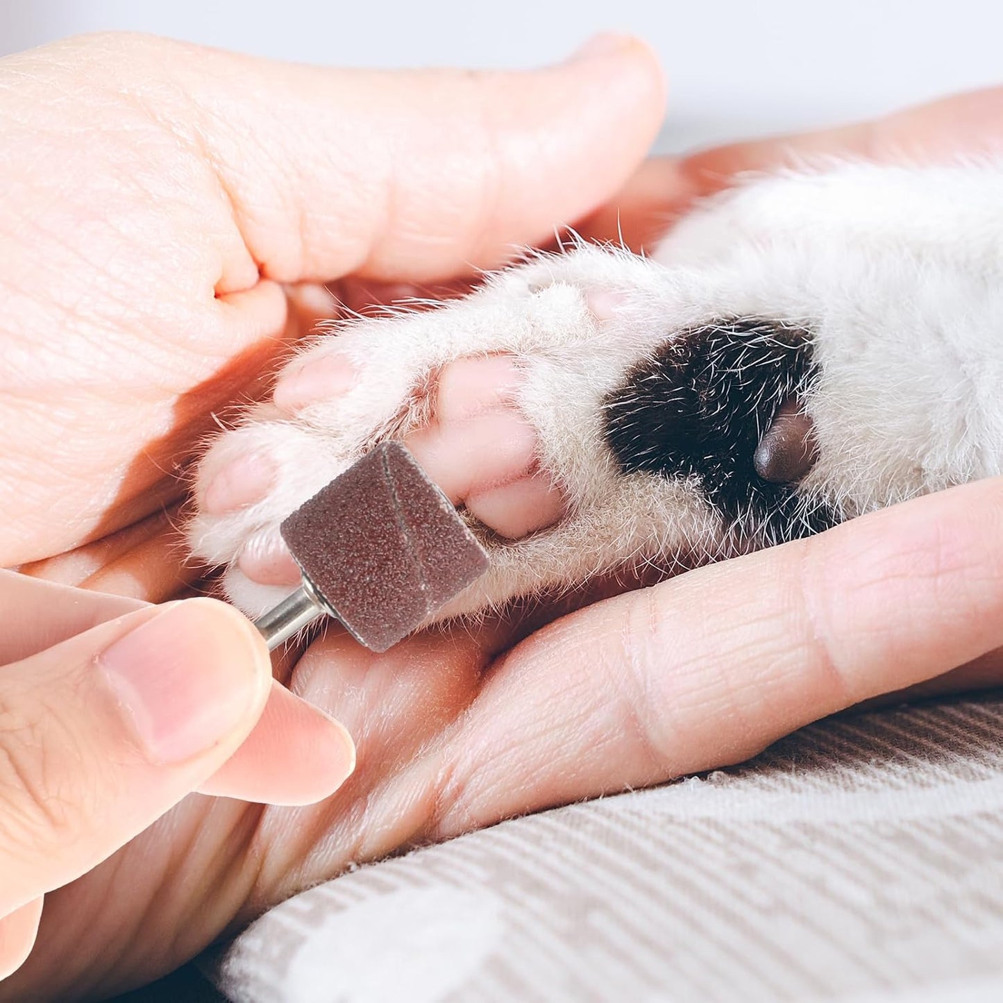 62Pcs Pet Nail Grinder Replacement Kit with Grit Sanding Bands, Dog Grinding Drums Nail Smoother Sanding Drum Set for Dogs Claw Care Grooming Supplies (80#/120#)