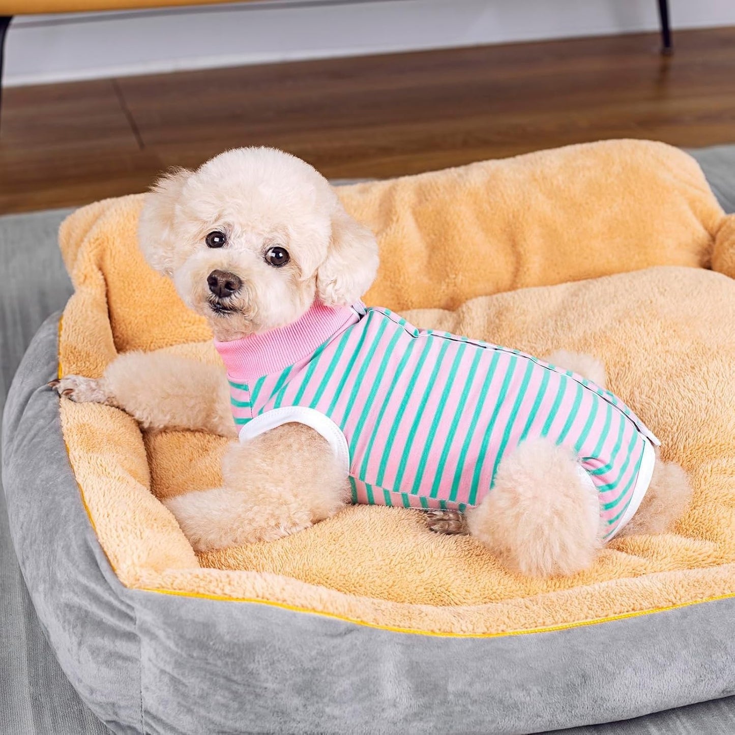 2 Packs Pet Dog Recovery Suit, Puppy After Surgery Onesie for Female Male Dogs, Dogs Cats, Dog Abdominal Wounds Bandages Cone E-Collar Alternative (L,Grey)