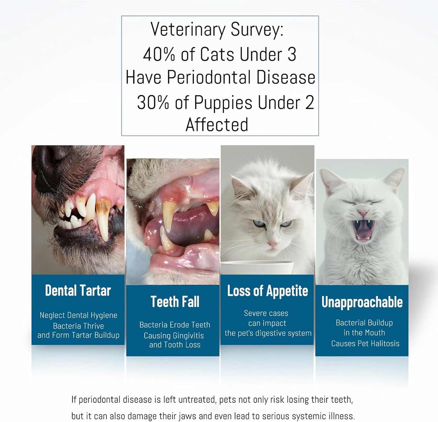 E.M&S.T by Emmeliestella Small Dog & Cat Toothbrush Micro Head, Cat Dental Care, Pets Toothbrush, Oral Hygiene, Easy to Handle, Deep Clean, Soft Bristles, Multi-Angle, Round&Pointed Toothbrush, 5 PCS