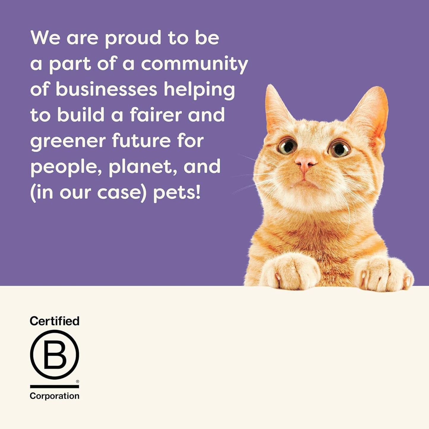 Applaws Natural Bone Broth Wet Cat Food Topper, Limited Ingredient Broth for Cats, Protein Wet Food Topper for Cats, Fish and Chicken Variety Pack(6 x 3oz Spout Pouches)