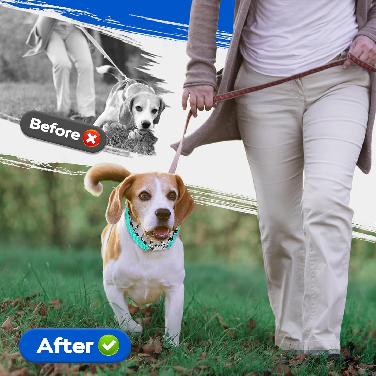 Pinch Prong Collar for Large Medium Small Dogs, Stainless Steel Choke Collar for Dogs with Qucik Release Buckle Green L