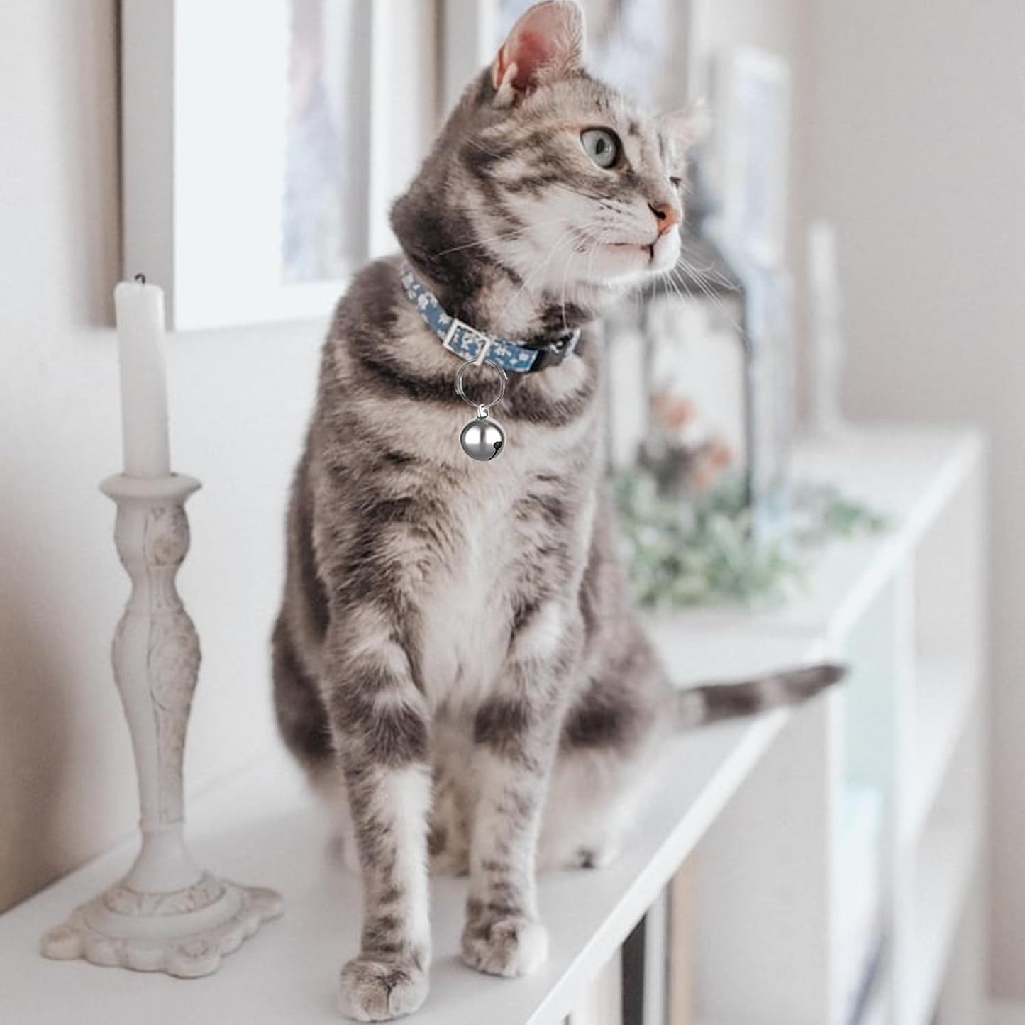 SKYPIA 3 Pack Pet Bells for Dog Cat Collar Charm Pet Pendant Accessories Stainless Steel Anti-Lost Training Bells for Collars Pet Pendant Accessories 1/2-Inch Silver