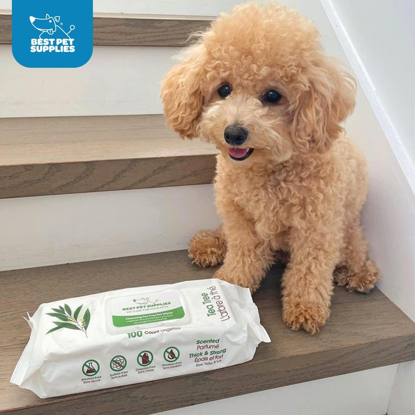 Best Pet Supplies Pet Grooming Wipes for Dogs & Cats,Deodorizer for Coats & Dry, Itchy, or Sensitive Skin, Clean Ears, Paws, Body, & Butt - Cleansing Tea Tree