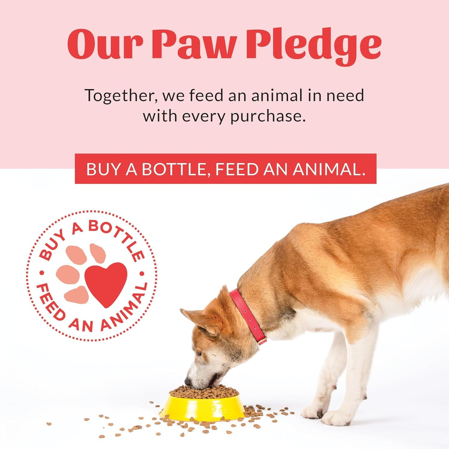 SKOUT'S HONOR Pet Grooming Wipes for Dogs and Cats - Deodorizing, Plant-Based, Biodegradable, Fragrance-Free - for Paws, Faces, Skin Folds & Bums, 80 Count