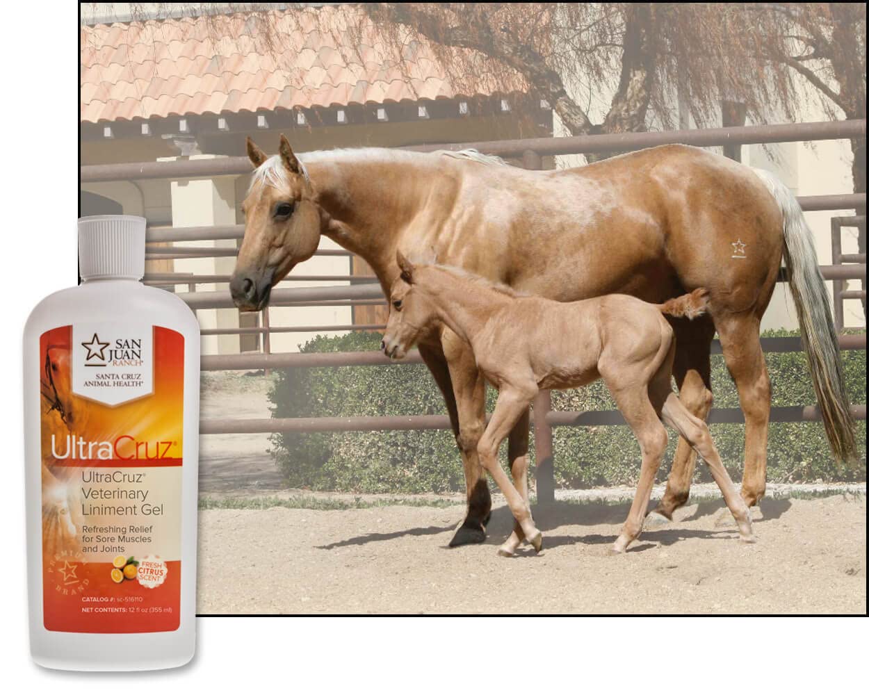 UltraCruz - sc-516110 Veterinary Liniment Gel for Horses, 12 oz