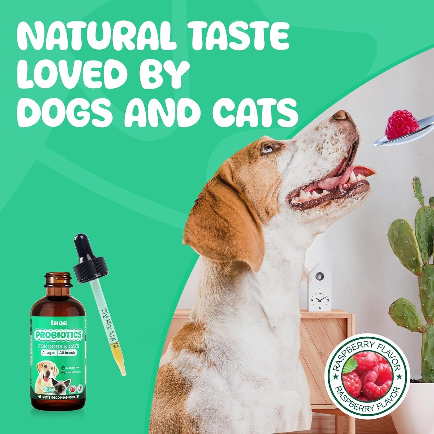 Liquid Probiotics for Dogs & Cats with Prebiotics & Digestive Enzymes - 3-in-1 Formula for Gut Health & Nutrient Absorption - 1.2 Billion CFU - 2 FL Oz