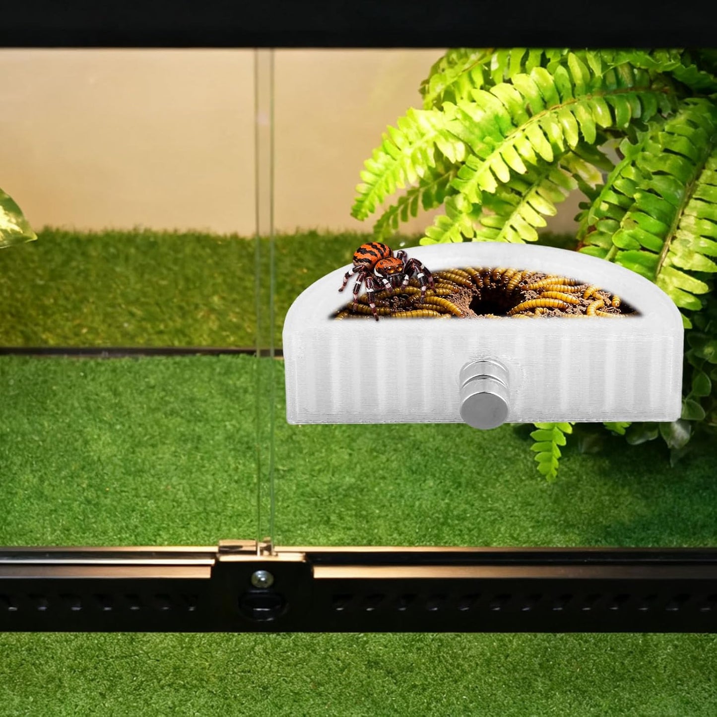 5pcs Jumping Spider Feeding Dish Kit, Magnetic Half Round Jumping Spider Food Feeder Water Bowl Dispenser Leak-Proof Enclosure Accessories Hide Decor for Tarantula Mantis Small Reptiles
