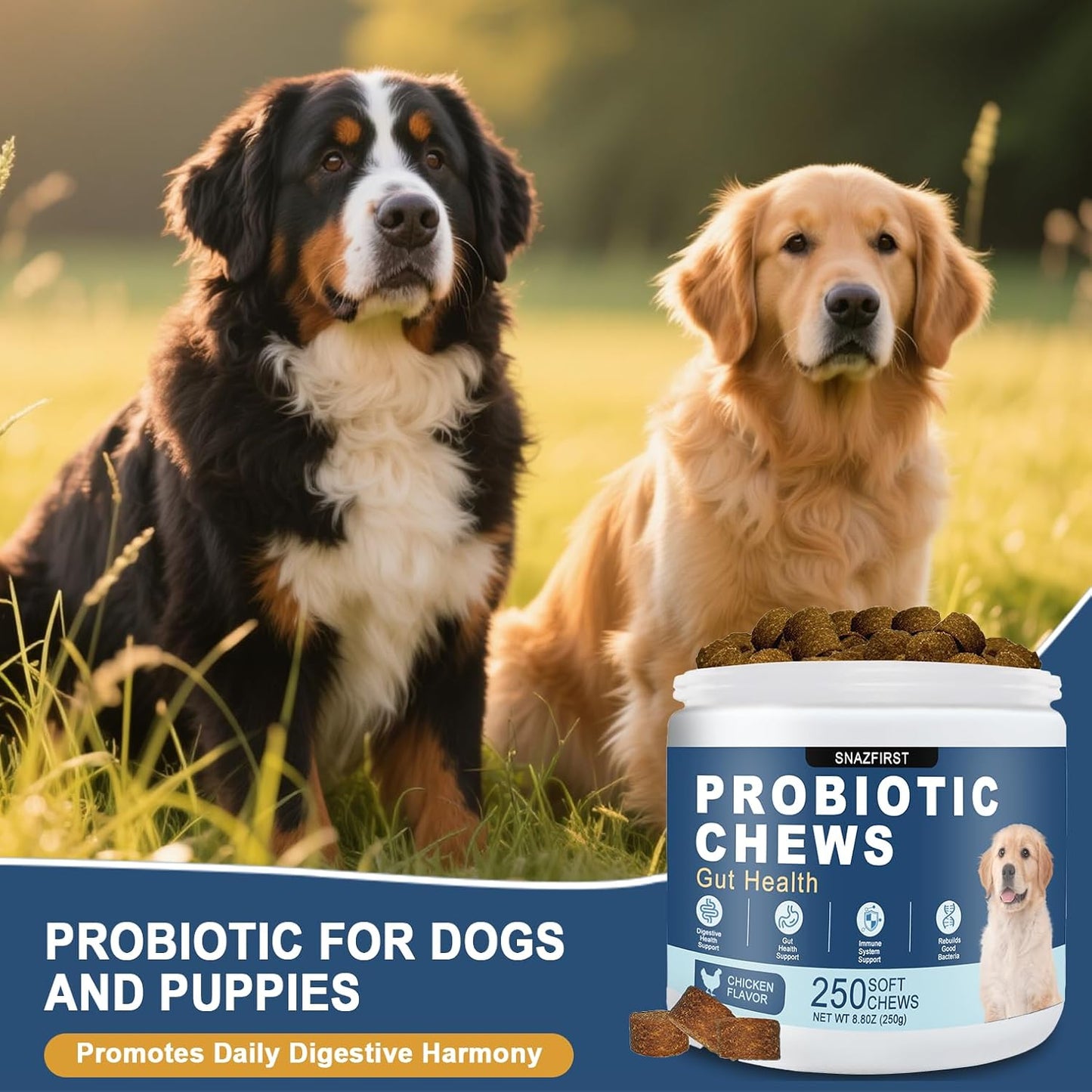 Probiotics for Dogs, Dog Probiotics Chews for Digestive Health & Gut Health, Improve Immune System,Constipation & Diarrhea Relief(Chicken Flavor, 250 Chews)