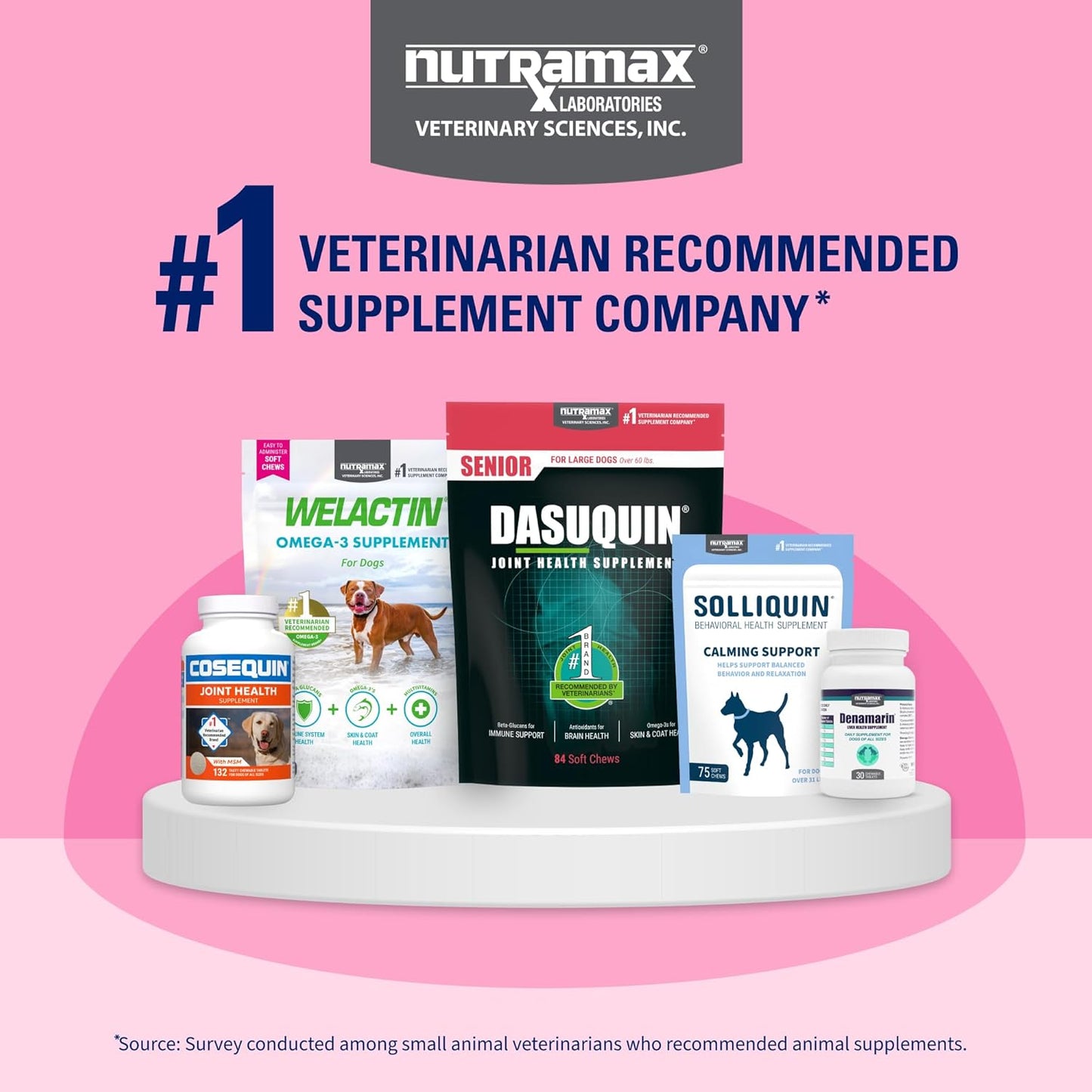 Nutramax Proviable Probiotics for Dogs, Daily Digestive Health Supplement with Multiple Strains of Bacteria, Dog Probiotics Plus Prebiotics, 60 Chewable Tablets