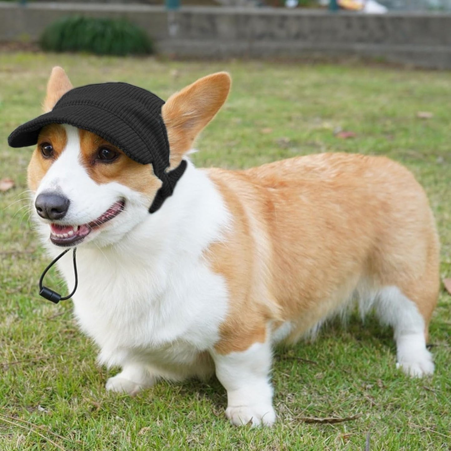 Dog Baseball Cap, Dog Cat Summer Beach Visor Hat with Ear Holes, Adjustable Puppy Sunbonnet Headdress (Black, Large)