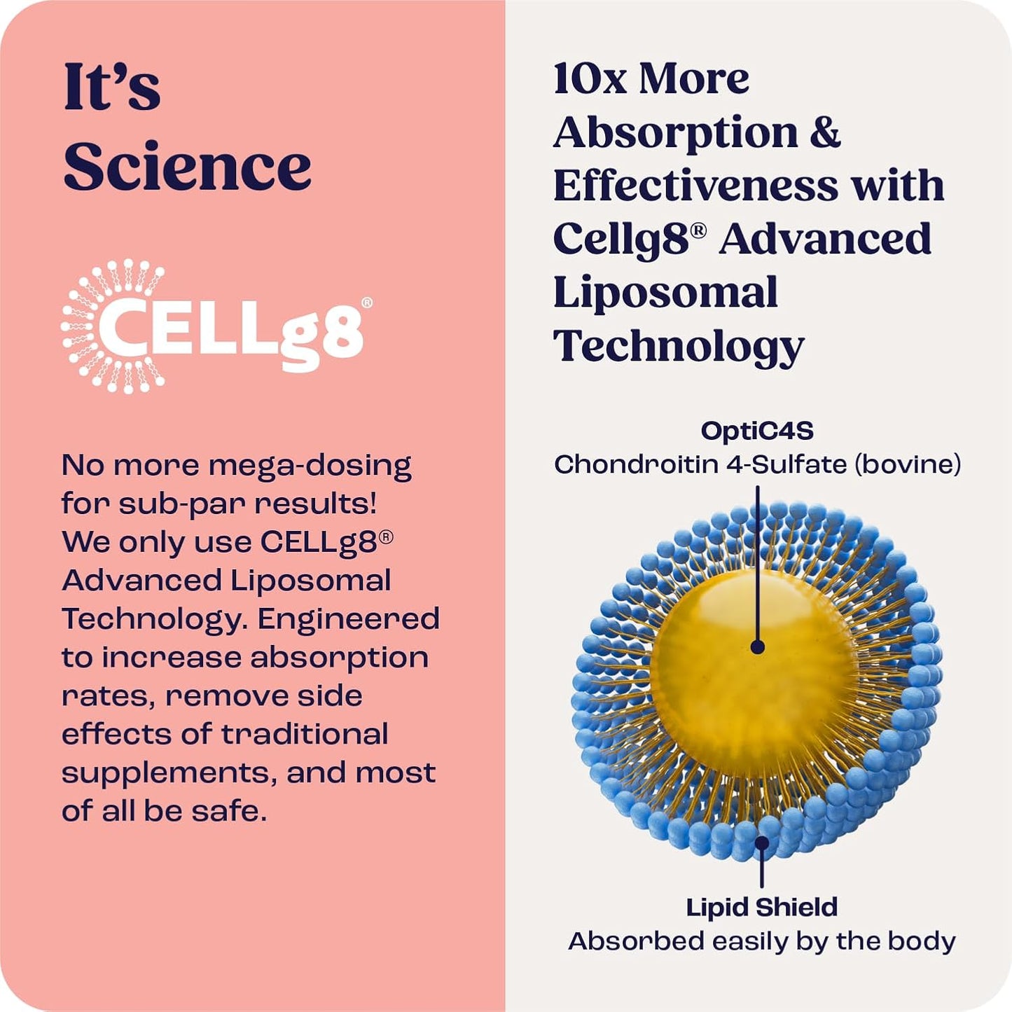 Summit Feline Pain Relief Supplement Inflammation Hip & Joint Support Vitamin for Cats - Natural Chrondroitin with Liposomal Delivery for Arthritis - Drug Free - All Ages