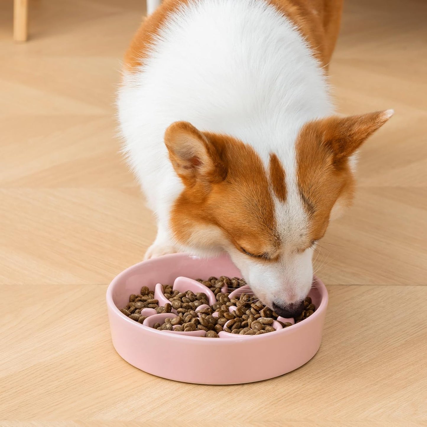 vancasso Ceramic Slow Feeder Dog Bowls, Puzzle Dog Food Bowls with Floral Maze, Anti -Slip Pet Food Dish for Medium Breed, 1.5 Cups, Pink
