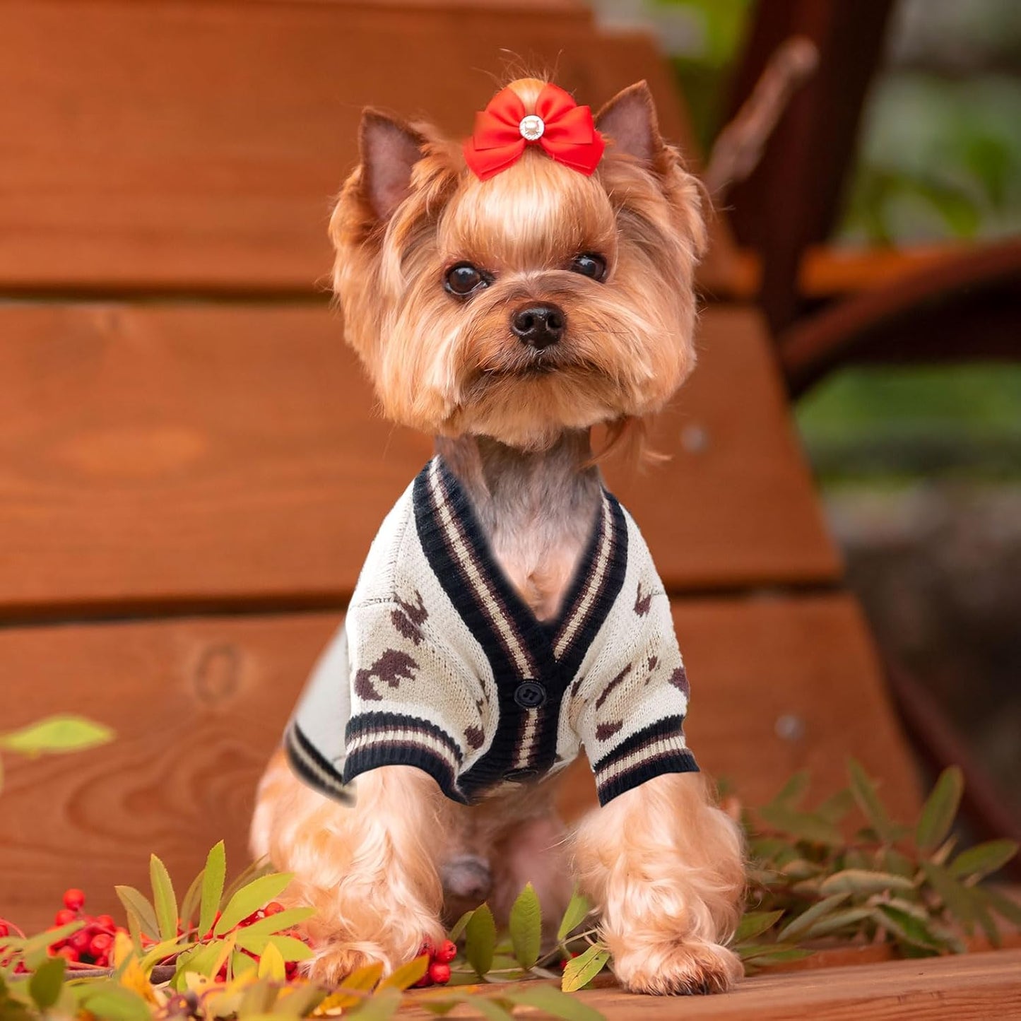 Small Dog Sweaters Cute Bear Dog Cardigans Clothes for Small Medium Dogs Boy Girl Puppy Cat Knitting Cardigan Outfits Dogs Winter Coats Warm Pet Doggy Clothes Soft Knitwear (Beige, Small)