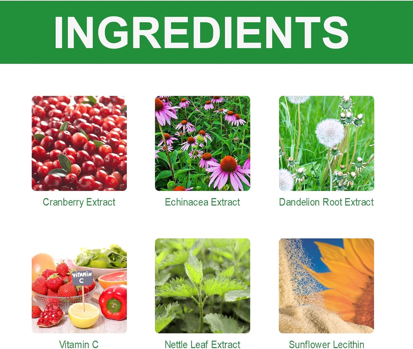 Cat & Dog Natural UTI Medicine, Cranberry Supplement for Dogs, Urinary Tract Infection Treatment Care Drops, Prevention Incontinence, Stones- Bladder Constipation Relief, Kidney Support for Pets