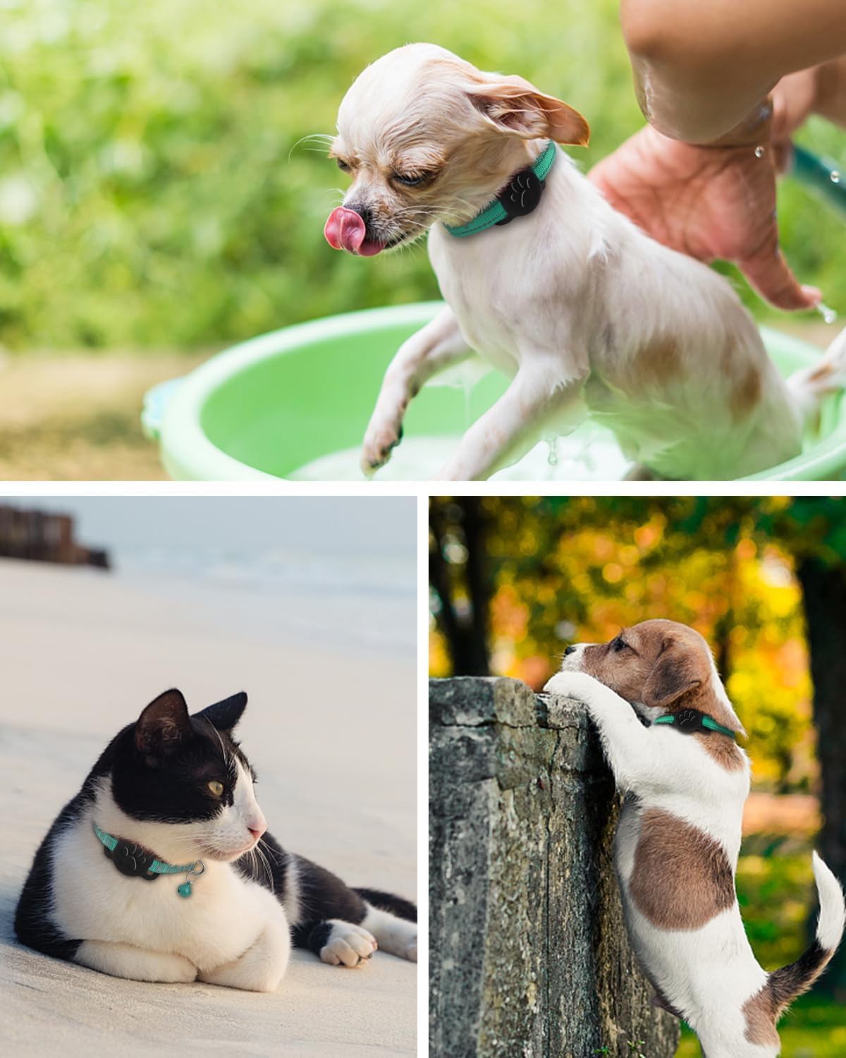 Dynmeow Dog Cat Collar Holder Compatible with Airtag, Anti-Lost Silcione Holder for 3/8 and 5/8 Inch Wide Collars, Black, S(1 Pack)