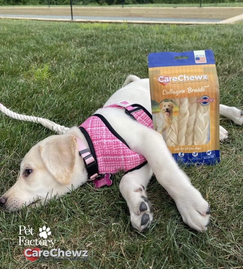 Pet Factory - CareChewz Beef Collagen Dog Treats (Pack of 5, 6-7 inch Skinny Braid Sticks), USA Made Beefhide Dog Chews, Support Joints, Dental Health, Reduce Inflammation & Promote Healthy Coats