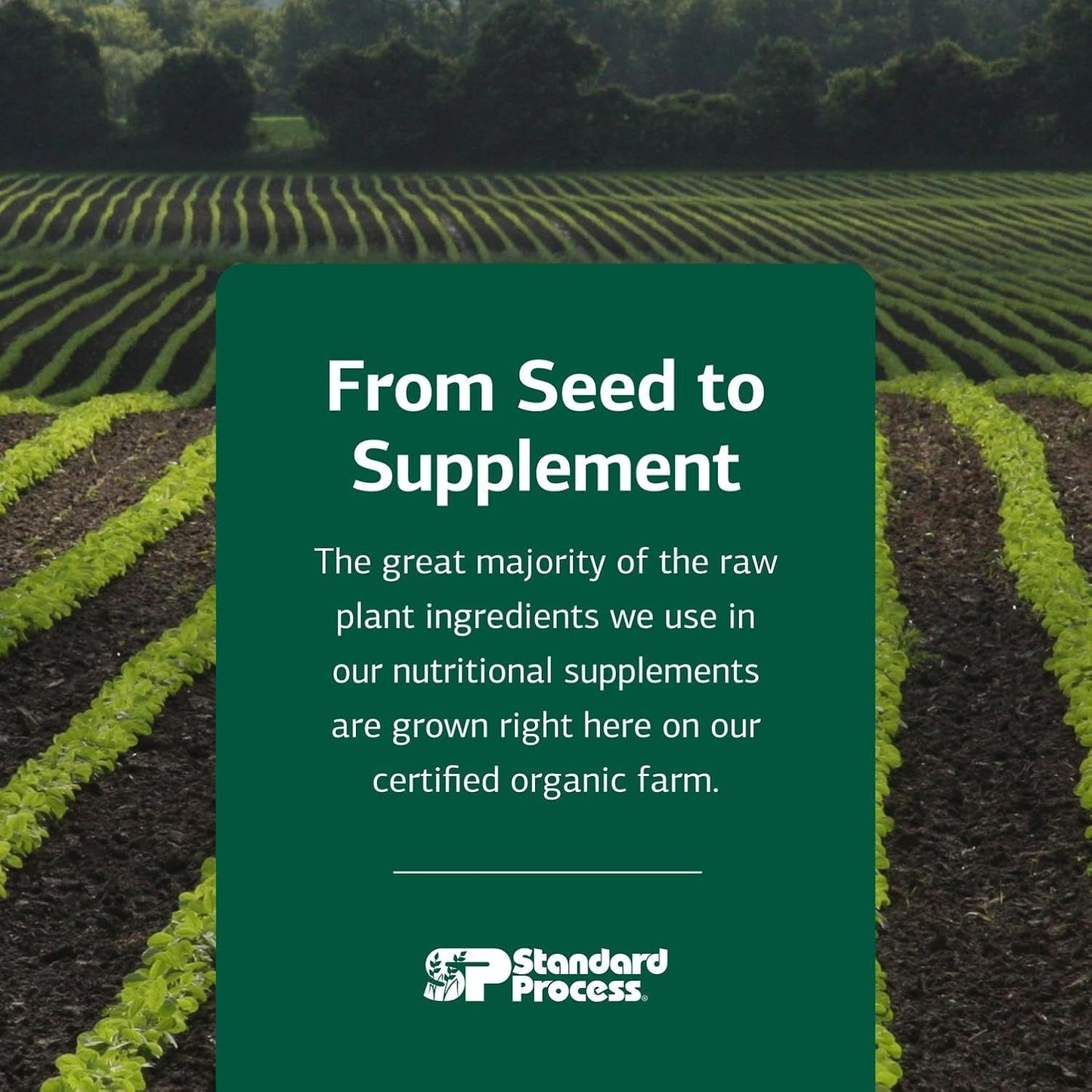 Standard Process Inc. VF Omega-3 for Pets - Dietary Supplement with Omega-3 Fatty Acids - Support Bone Growth, Immune Health, Heart Health - Fish Oil Supplement for Pets - 90 Softgels