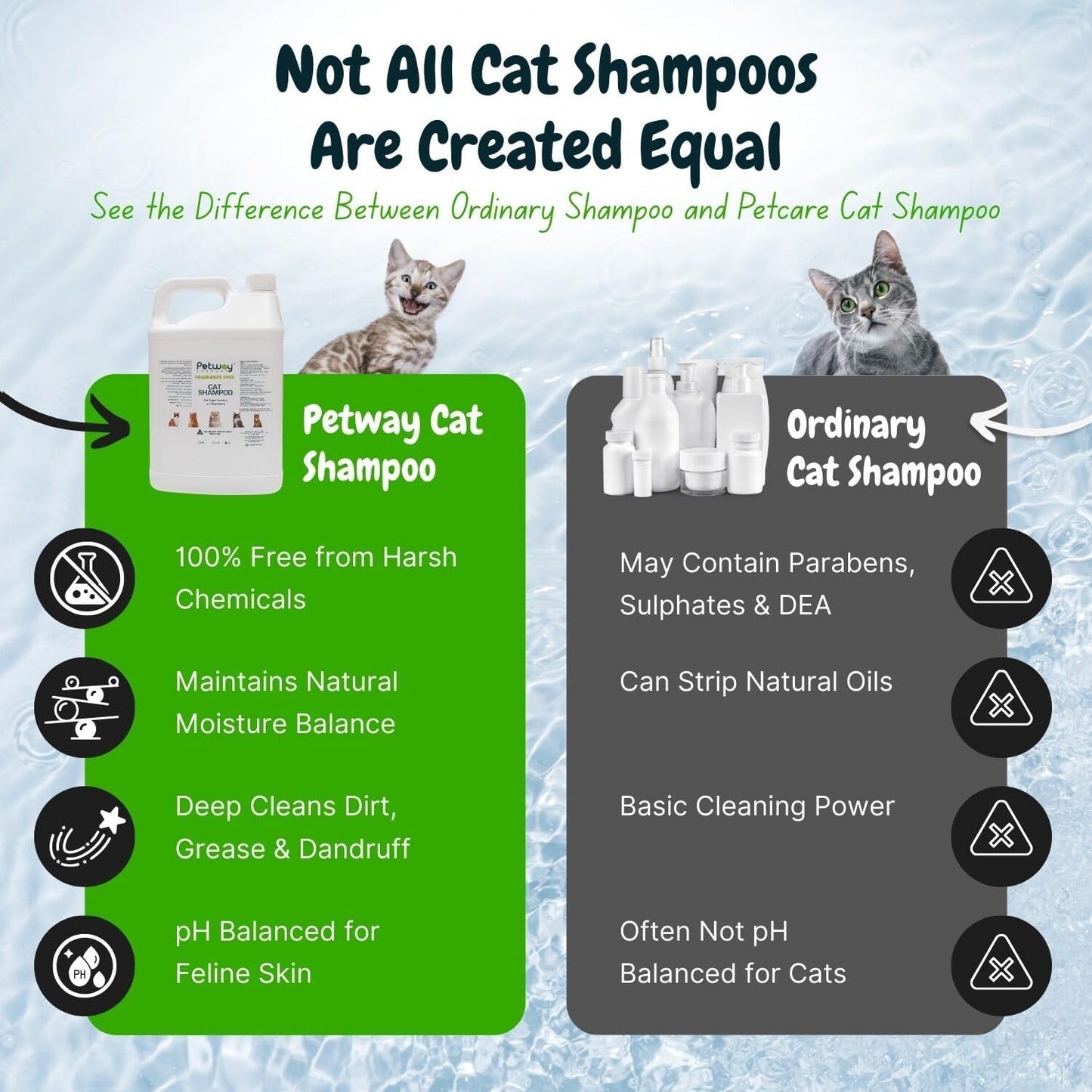 Petway Petcare Cat Shampoo, Natural Dandruff Shampoo, pH Balanced Cat Grooming Supplies with Plant Derived Surfactant, Free of Fragrance, DEA, Phosphates, Parabens & Enzymes, Removes Oil and Dirt, 5 L