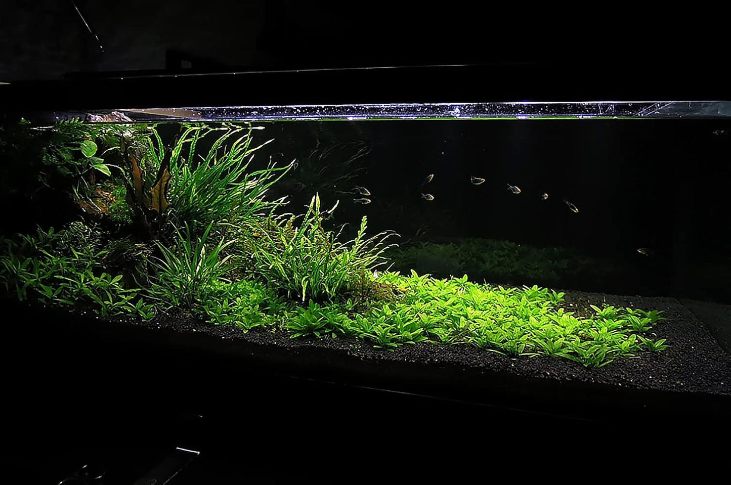 Ultum Nature Systems Controsoil - Freshwater Aqua Soil Substrate for Fish, Shrimp, Live Plant Propagation and Aquascaping - 6.8pH Low Ammonia, Volcanic Ash - Black, Normal (3 Liter | 6LB)