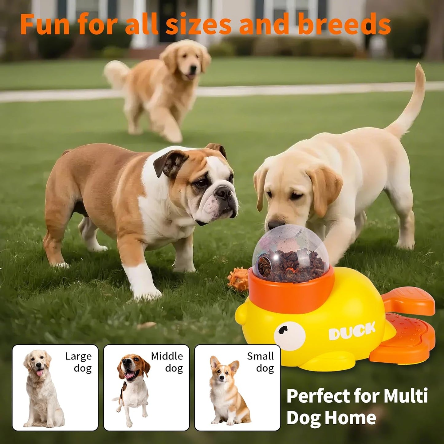 2-in-1 Interactive Dog Toys Food Puzzle Slow Feeder, Safe Dog Food Treat Feeding Dispenser for Dogs and Cats, Promotes IQ Training and Entertainment Reduces Bloating Anti-Gulping Small Animal Bowls
