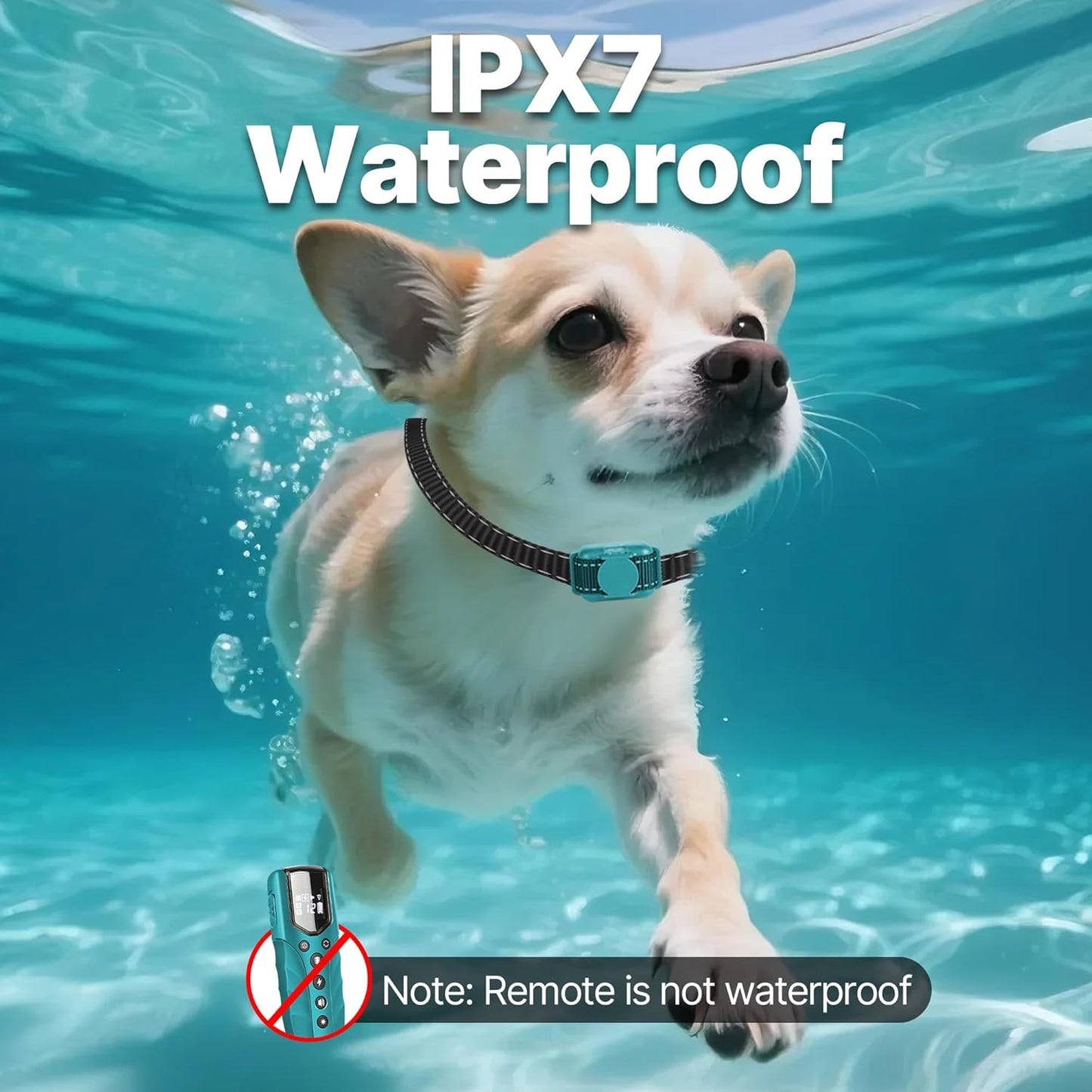 Tiniest Small Dog Shock Collar, Lightest Dog Training Collar with 2000ft Remote, Tailored for Small Dogs 5-15lbs & Medium Large Dogs, Beep, Vibrate, Shock, Lighting, Waterproof, Rechargeable,Cyan