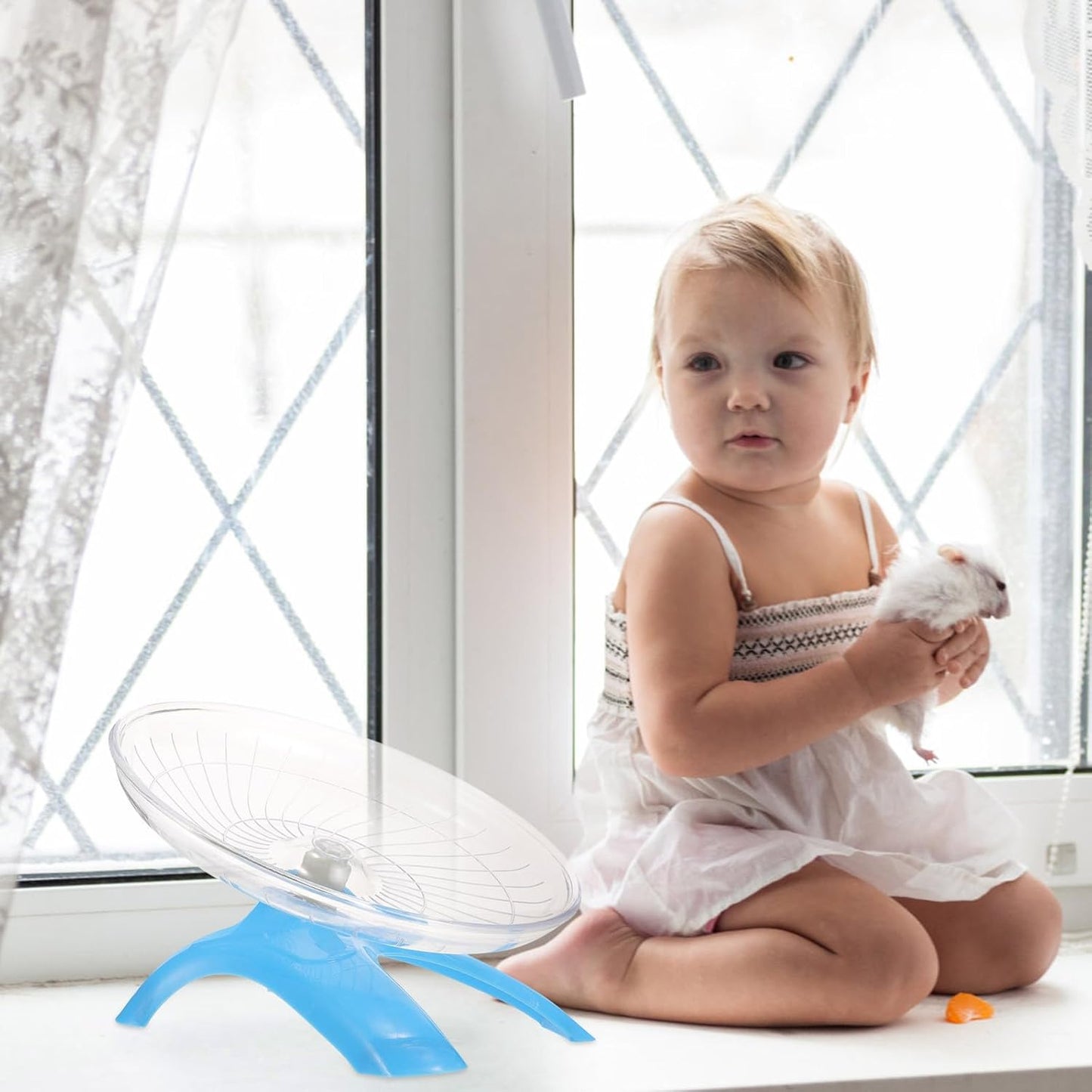Silent Hamster Wheel Large Exercise Running with Blue Disc for Gerbils and Guinea Pigs Small Animal Supplies