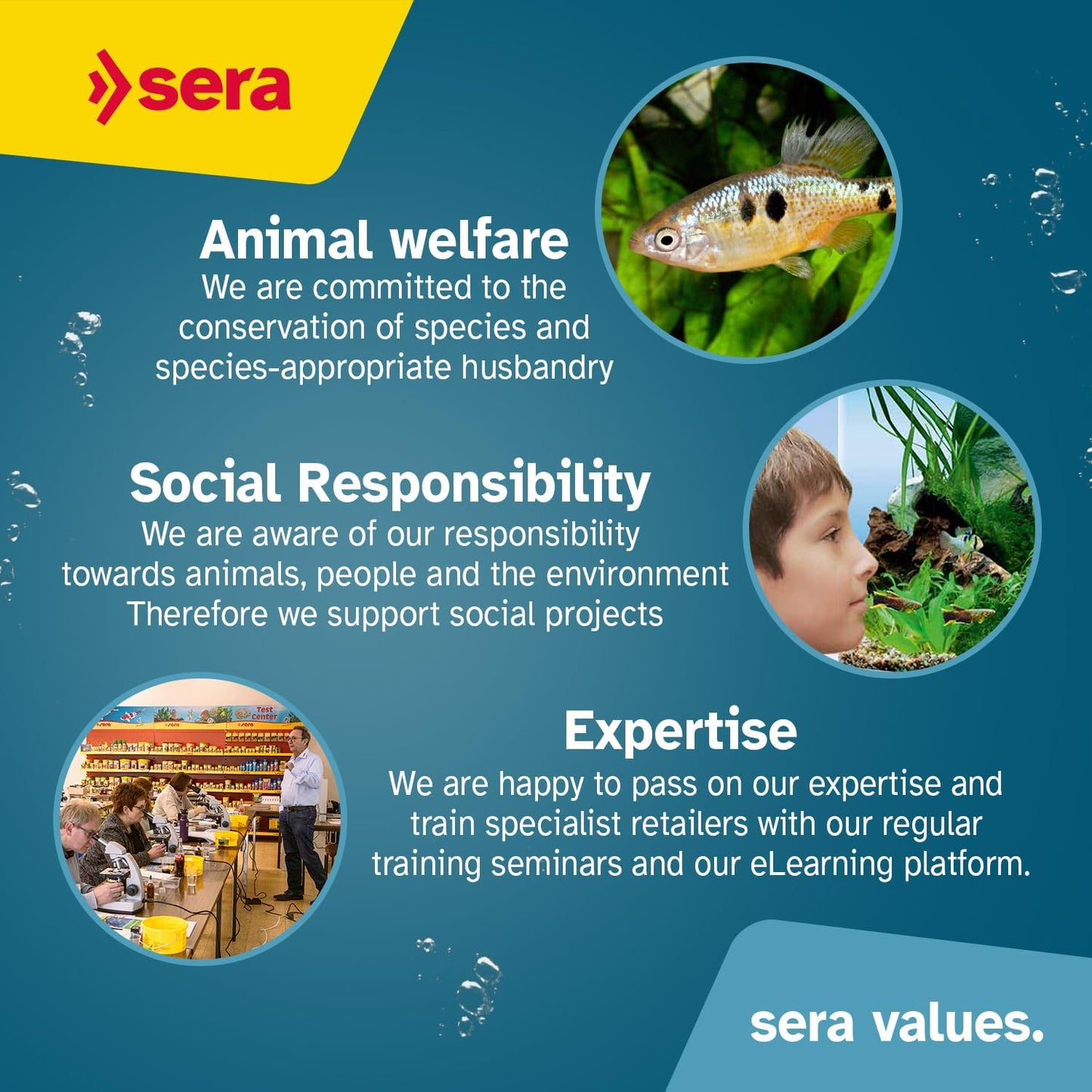 sera Holiday Tabs 10 pcs. | Vacation Fish Feeder for Aquariums | For ornamental fish | Slow-Dissolving Fish Food vacation Feeder | Provides up to 7 days of reliability |No water clouding & overfeeding