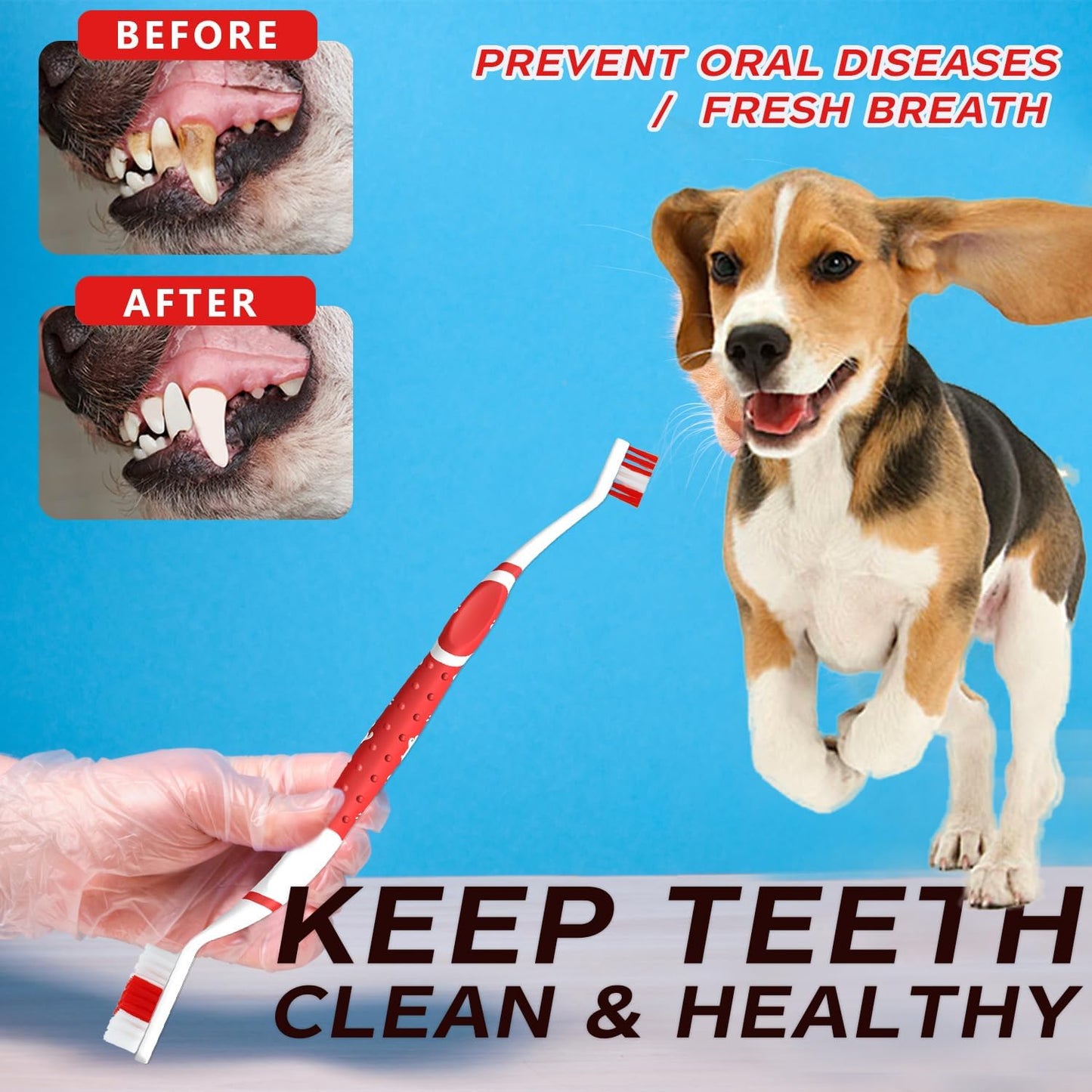 Dog Toothbrush pet Toothbrushes Finger Toothbrush Small to Large Dogs with Soft Bristles Non Slip Dual Head (8 pcs Dual Head + 4 pcs Finger Tooth Brush)