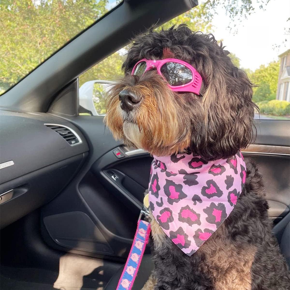 NAMSAN Dog Sunglasses Medium Breed UV Protection Dog Goggles for Small to Medium Dogs Windproof Anti-Fog Snowproof Puppy Glasses, Easy Wear/Adjustable (Pink)