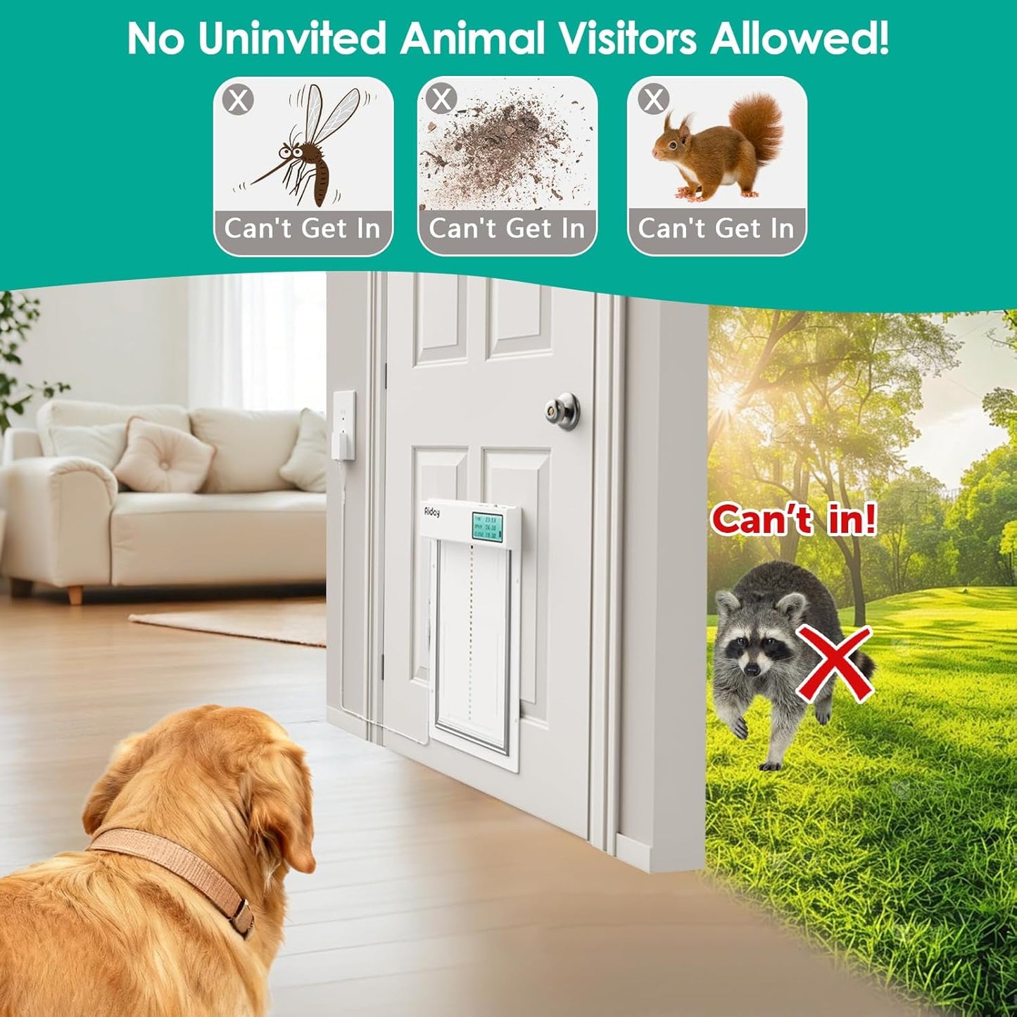 Automatic Dog Door with Collar Sensor, Up to 200 lbs, Electronic Extra Large Dog Door for Exterior Door with Mains-Powered, Timing Function, Anti-Pinch- XL