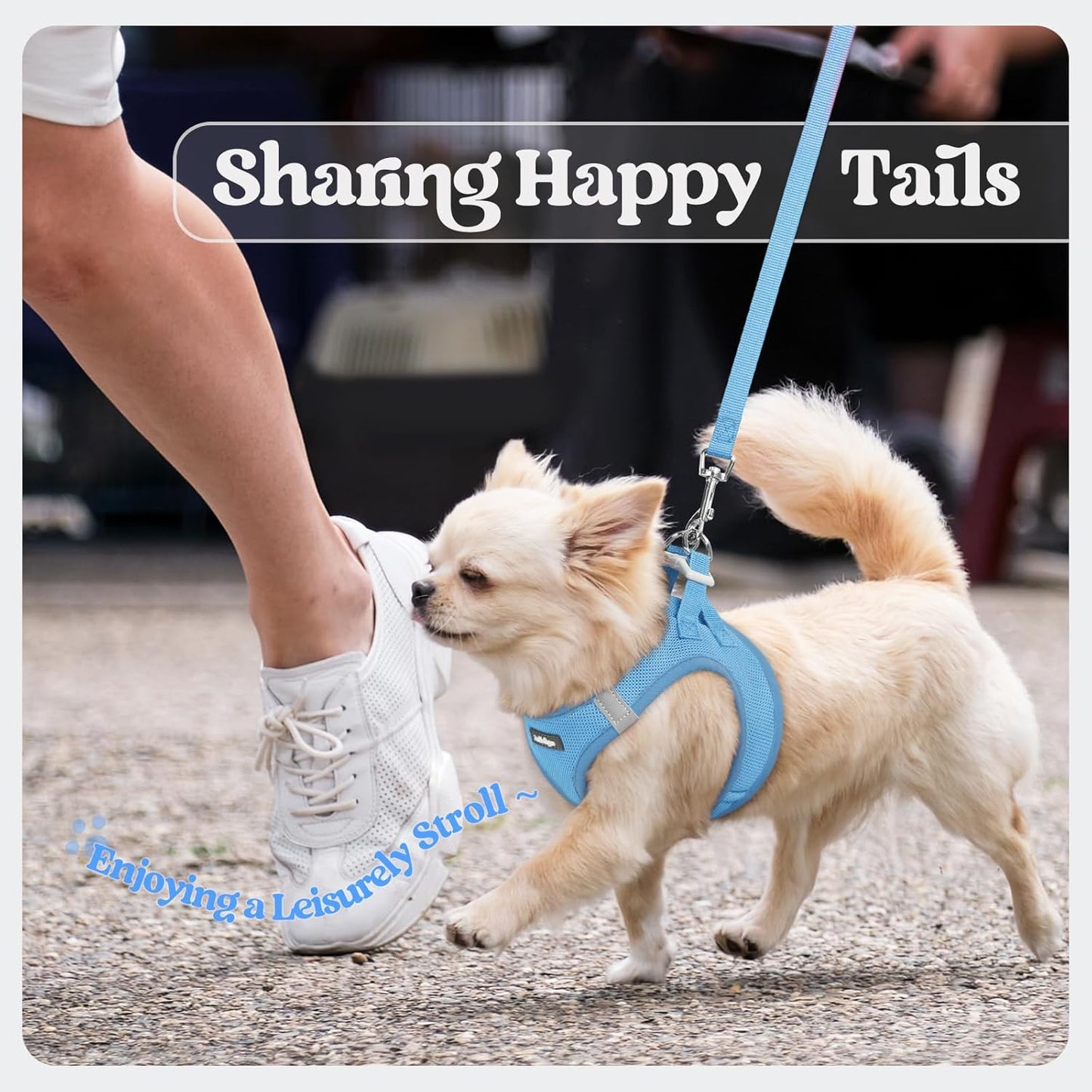 rabbitgoo Dog Harness Small Sized and Leash Set, Step in Soft Light Puppy Vest, Breathable Mesh Pet Harness, Reflective for Safe Easy Walking, Blue XXXS