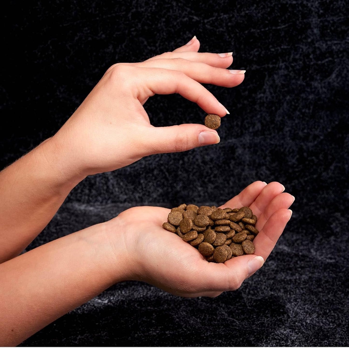 CRAVE Grain Free Adult High Protein Natural Dry Cat Food with Protein from Chicken, 10 lb. Bag