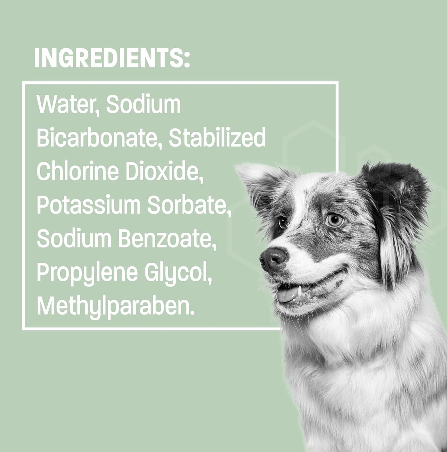 Dog Breath Water Additive - Cat & Dog Water Additive for Dental Care - Dog Dental Water Additive for Dogs Teeth and Bad Breath Treatment for Dogs and Cats - Odorless & Tasteless - 8 oz