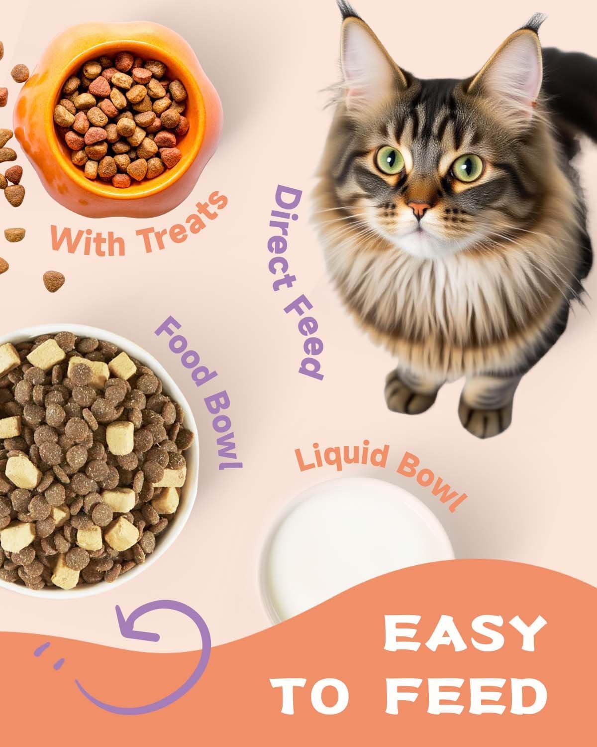 Lysine for Cats & Collagen for Cats - Respiratory, Sneezing, Runny Nose, Eye Function - Hip & Joint, Digestive & Immunity Support - with L-Lysine, Astragalus, Collagen, MSM - Roast Chicken Flavor