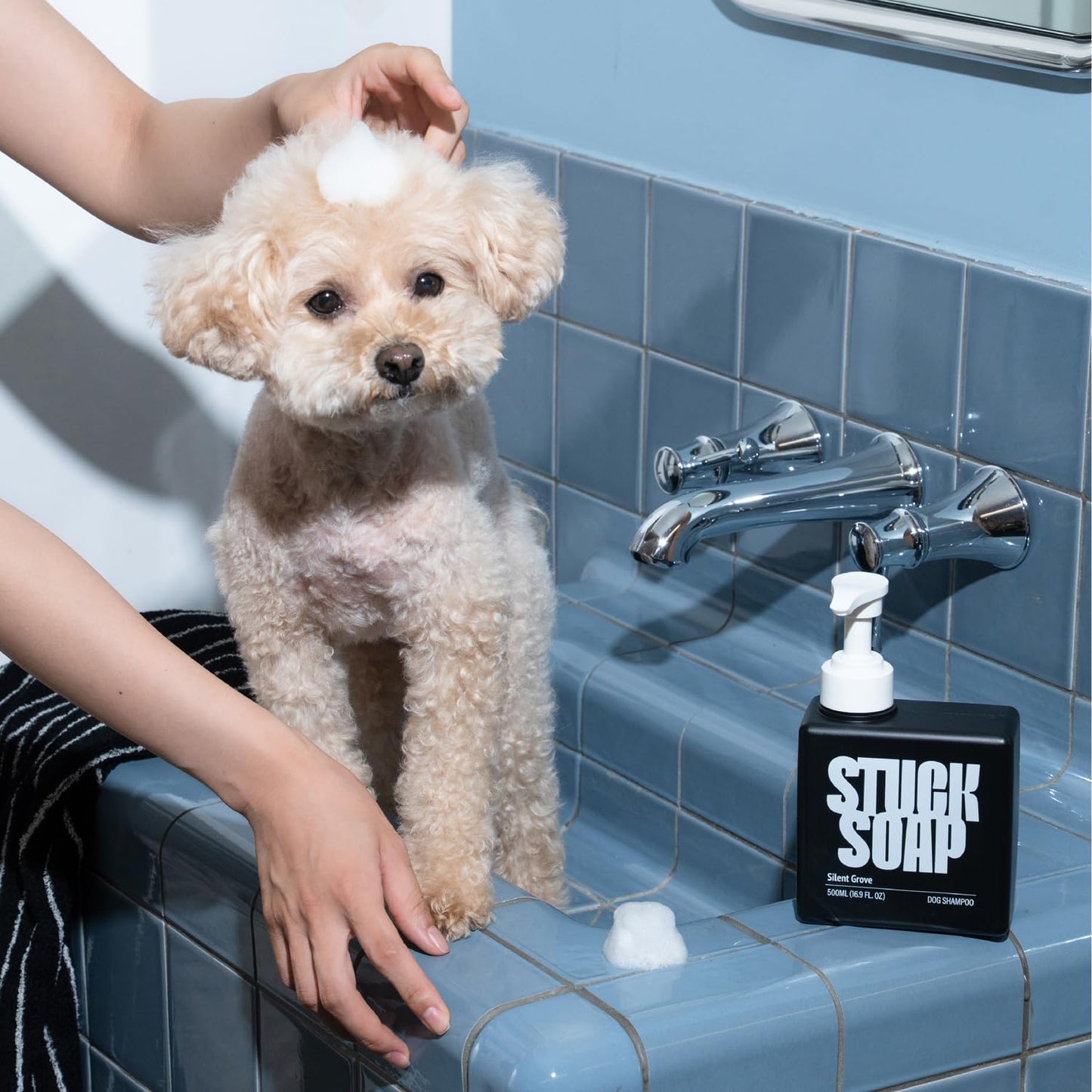 Vegan Dog Shampoo Premium K-Beauty Inspired Gentle Dog Shampoo for Sensitive Skin with Green Tea, Camellia Oil & Centella Asiatica, Elegantly Scented, Natural Pet Wash (Blush Garden)