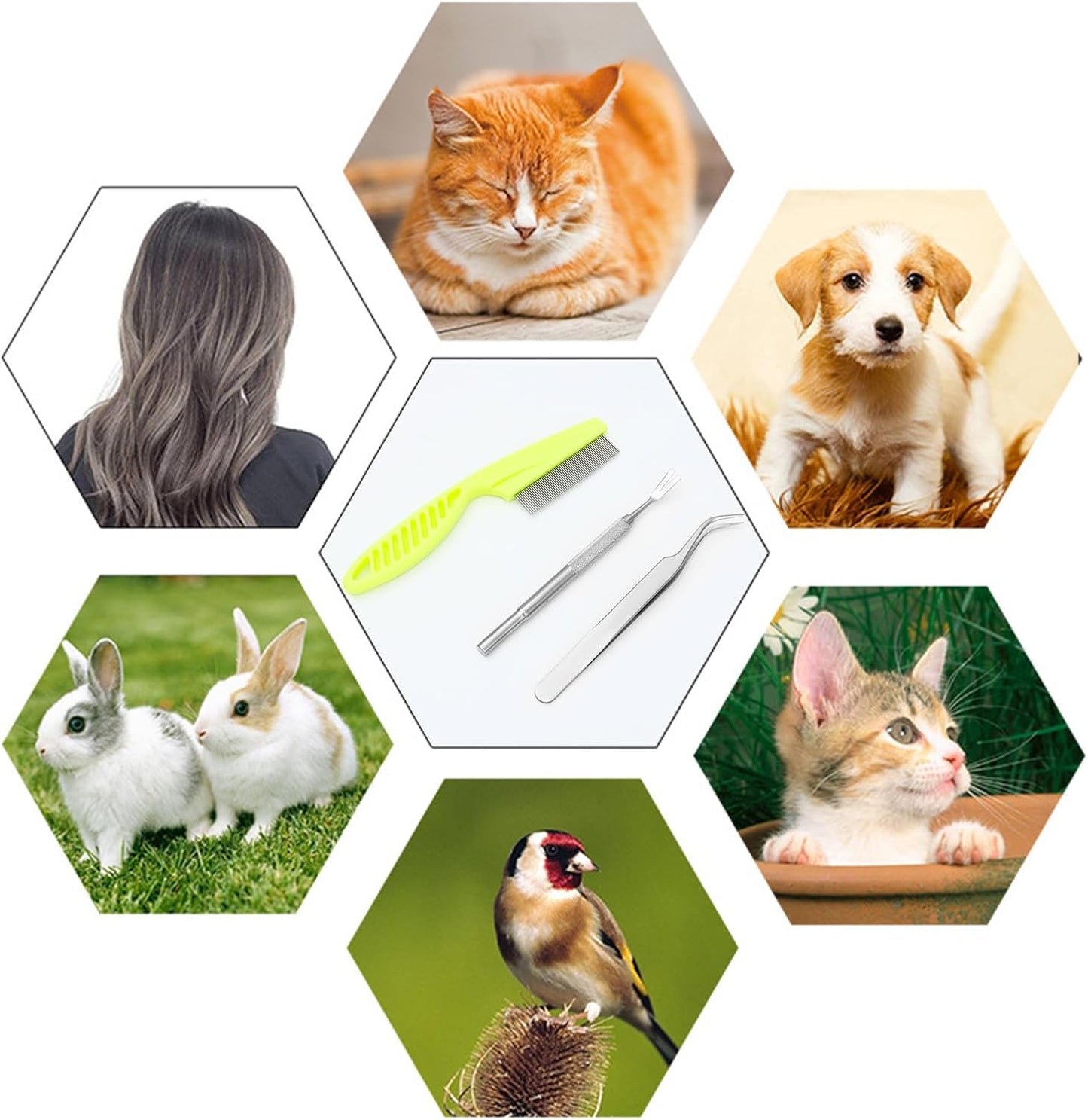 9 Pieces Tick Removal Tool for Cats Stainless Steel Tick Remover Tool Kit Safe & Helpful Tick Tools for Dogs Cats Human