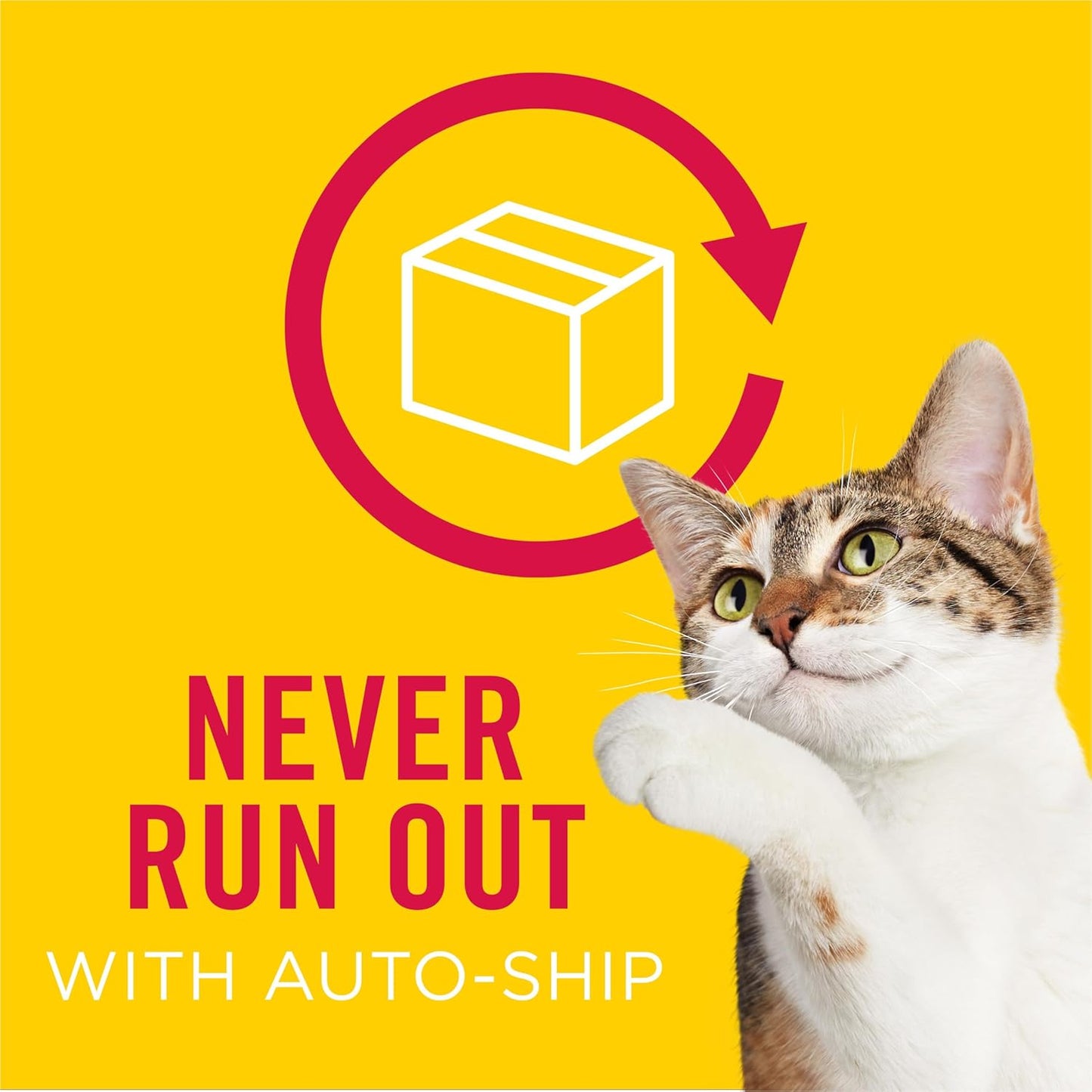 Purina Friskies Gravy Swirlers with Flavors of Chicken, Salmon and Gravy Dry Cat Food - 22 lb. Bag