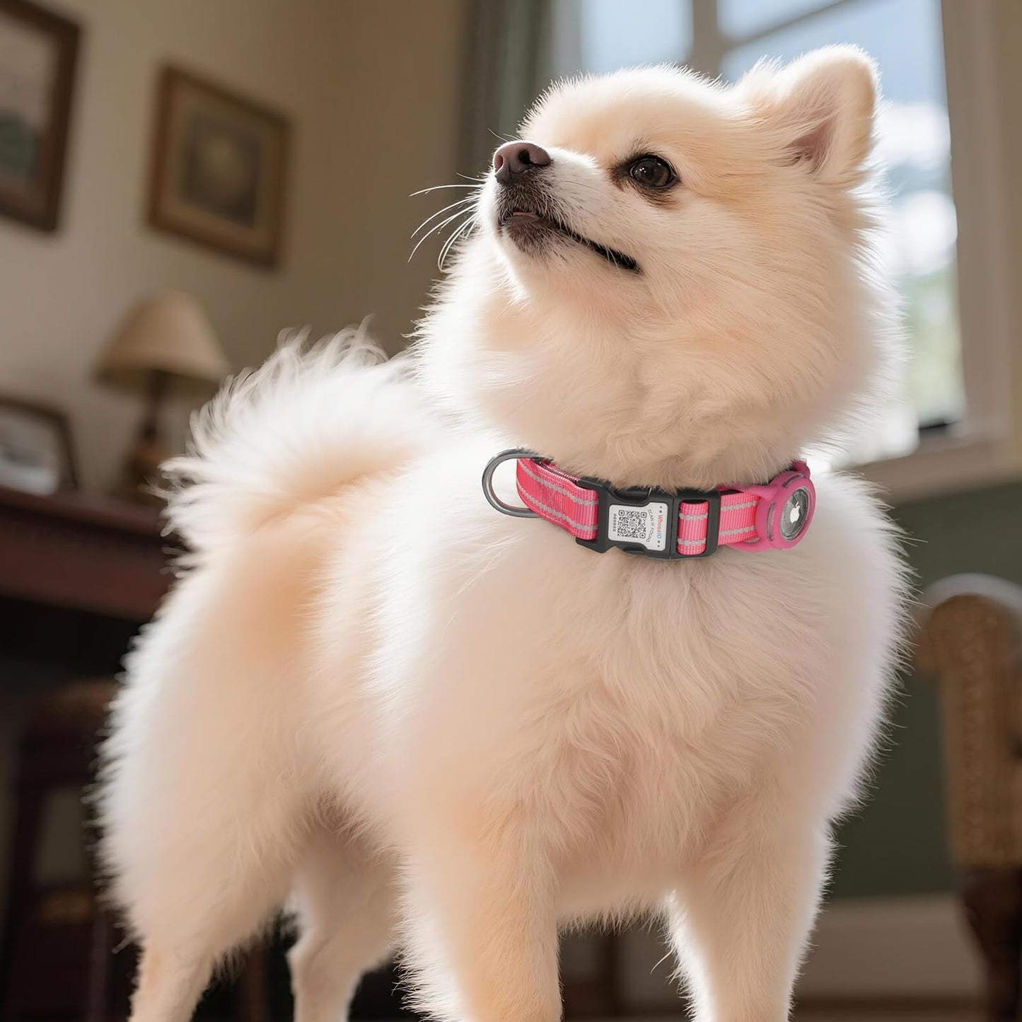 Airtag Dog Collar with QR Code, Reflective Dog Collar with Airtag Holder, Soft Padded & Safety Locking Buckle Adjustable Dog Collar for Large Dogs