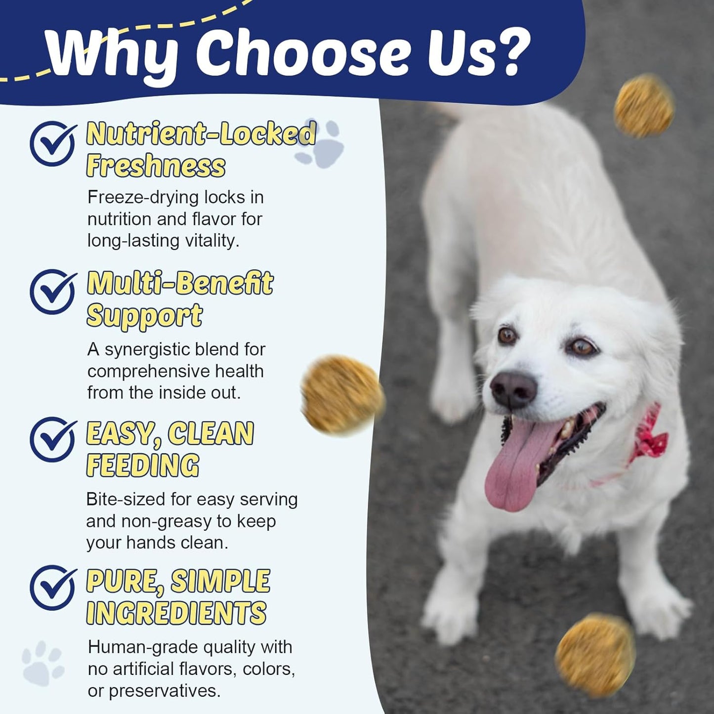 ZEBORA Glucosamine for Dogs, Omega 3 Fish Oil for Dogs Skin and Coat