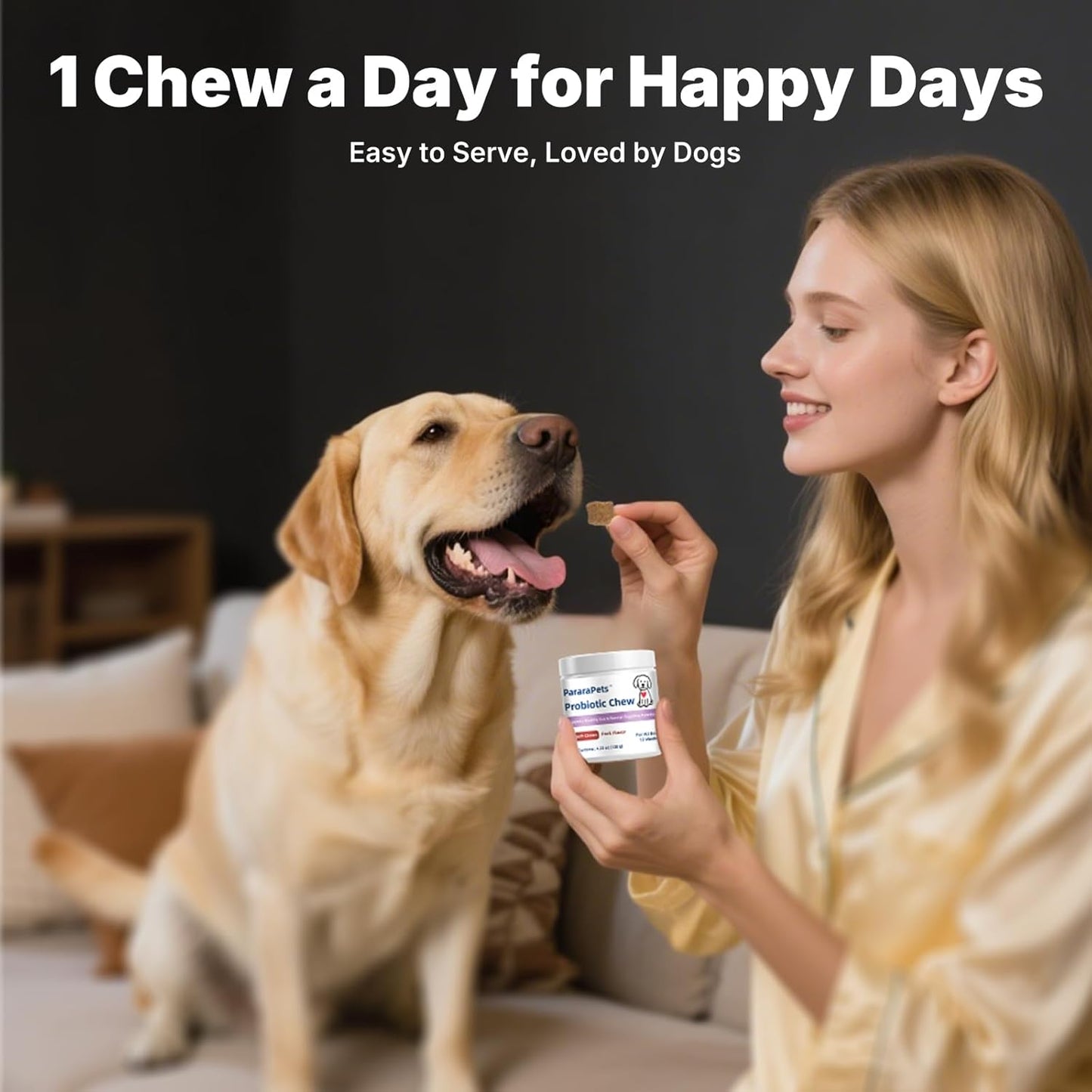 Probiotics for Dogs,Dog Gut Health Probiotics,Gastrointestinal Health Promotes Digestion and Nutrient Absorption, 60 Soft Chews